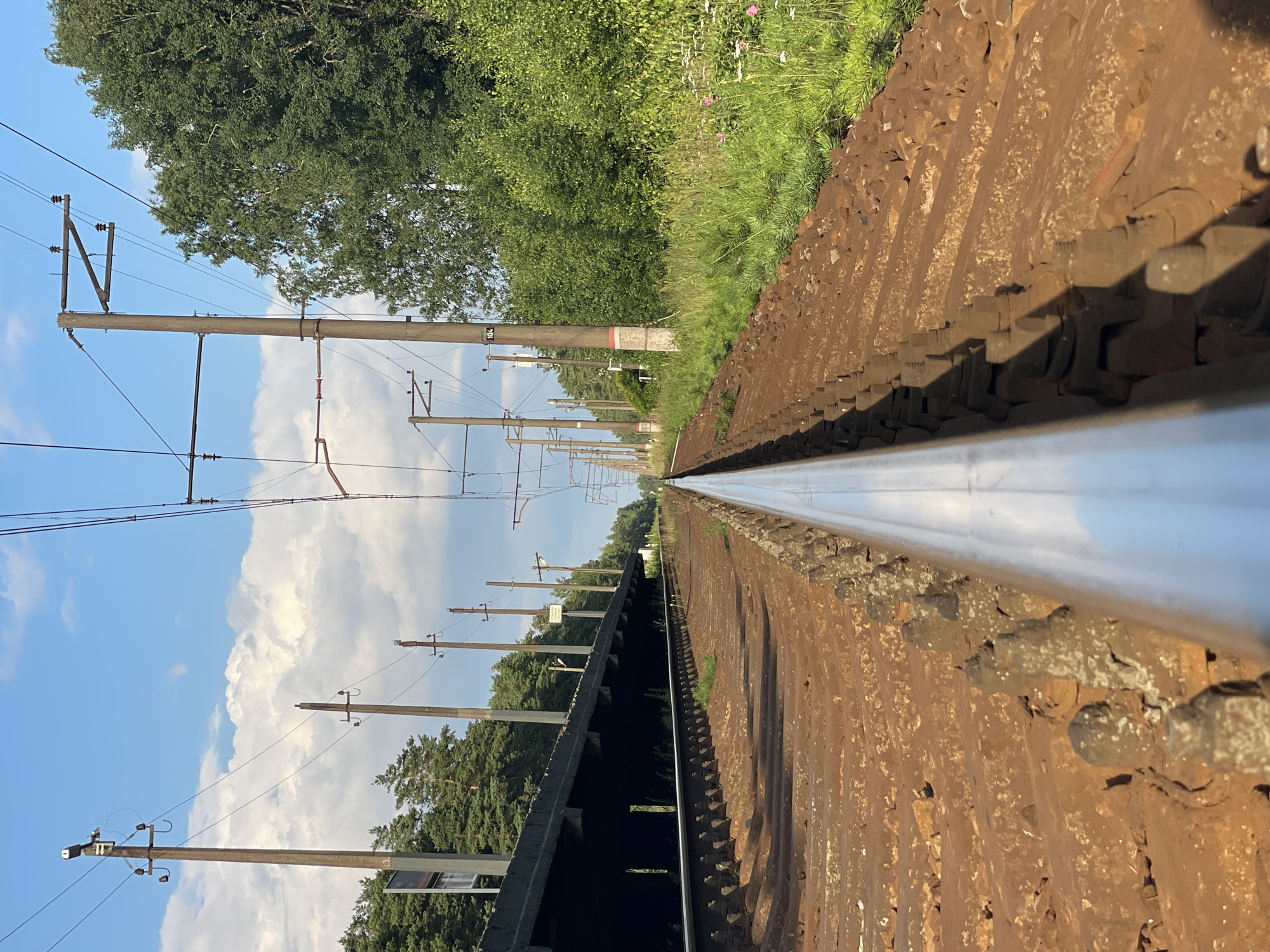 This is a low-angle, forward-facing shot of a train track leading into the distance in Lebyazhye, Russia. The tracks are made of rusty metal with wooden sleepers and gravel ballast. On the left side of the tracks, there is a dark, covered structure that appears to be a platform or canopy. Overhead, electrical wires for the train are suspended from tall concrete poles. The sky is blue with scattered white clouds, and lush green trees and vegetation border the right side of the tracks, with some pink wildflowers visible. The scene is peaceful and empty, with no people or animals present.
