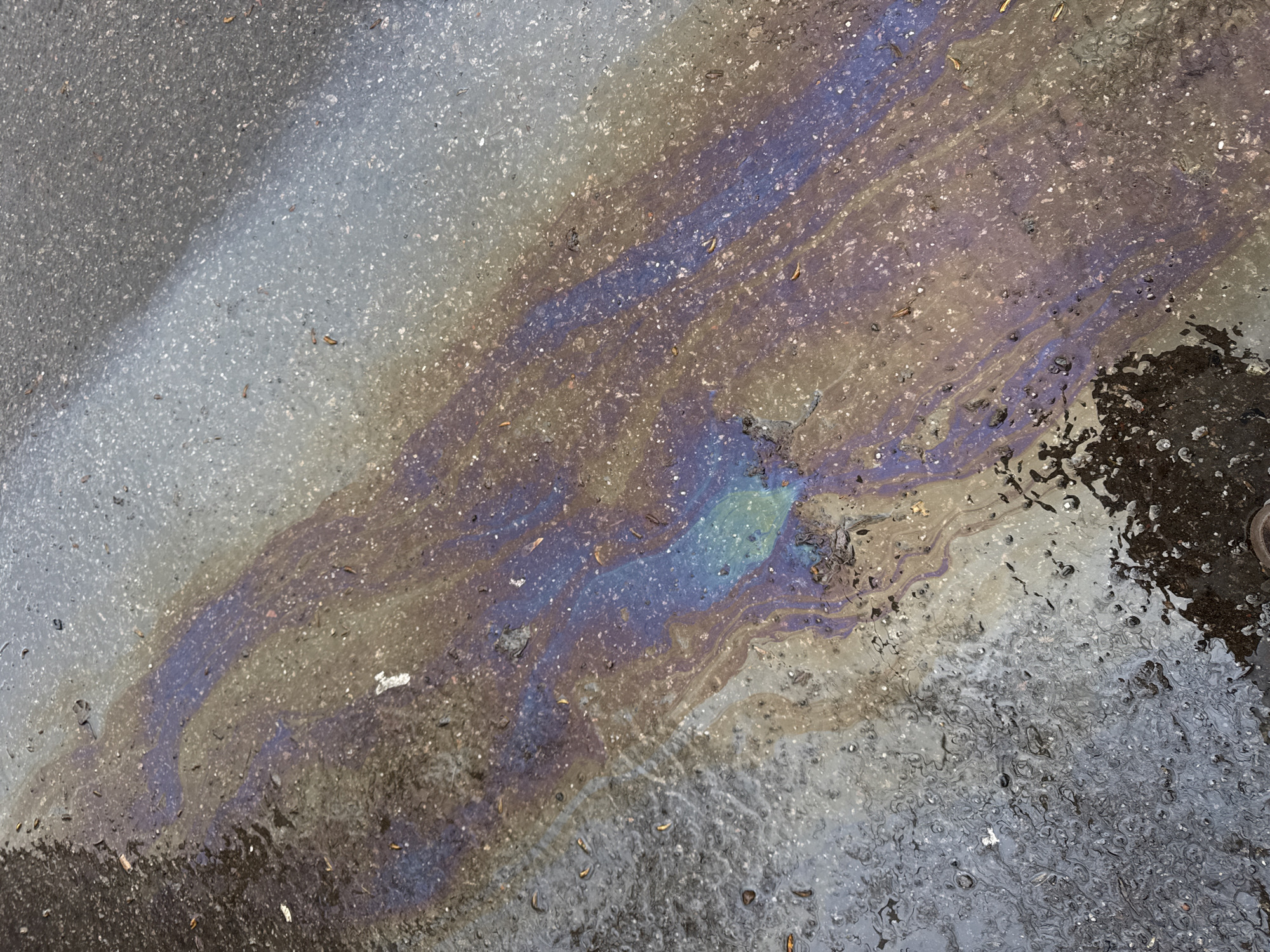 The image shows a patch of pavement, possibly in Moscow, Russia, with an iridescent sheen of spilled oil or gasoline mixed with water. The pavement is grey and textured, with small pebbles visible within the asphalt. The iridescent puddle covers a significant portion of the frame, exhibiting a range of colors including blues, purples, yellows, and greens. The puddle appears to have spread across the pavement, creating a stained effect. There are some areas of dark, wet patches without iridescence.