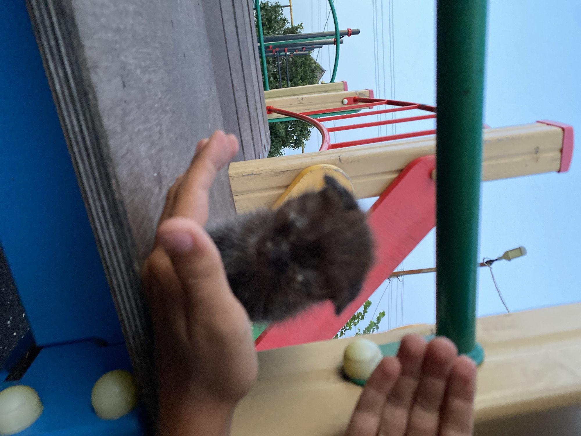 A close-up, low-angle shot captures a small, fluffy, dark-colored kitten being held in a person's cupped hands. The kitten's head is mostly visible, appearing to be asleep or resting. The hands are positioned in the foreground, with the kitten nestled between them. In the background, a children's playground structure is visible, featuring red and yellow painted elements, a green horizontal bar, and wooden planks. The sky above is a clear, pale blue, suggesting it is either early morning or late evening. The setting appears to be an outdoor playground, possibly in the city of Maloarslangulovo, Russia, given the context provided.