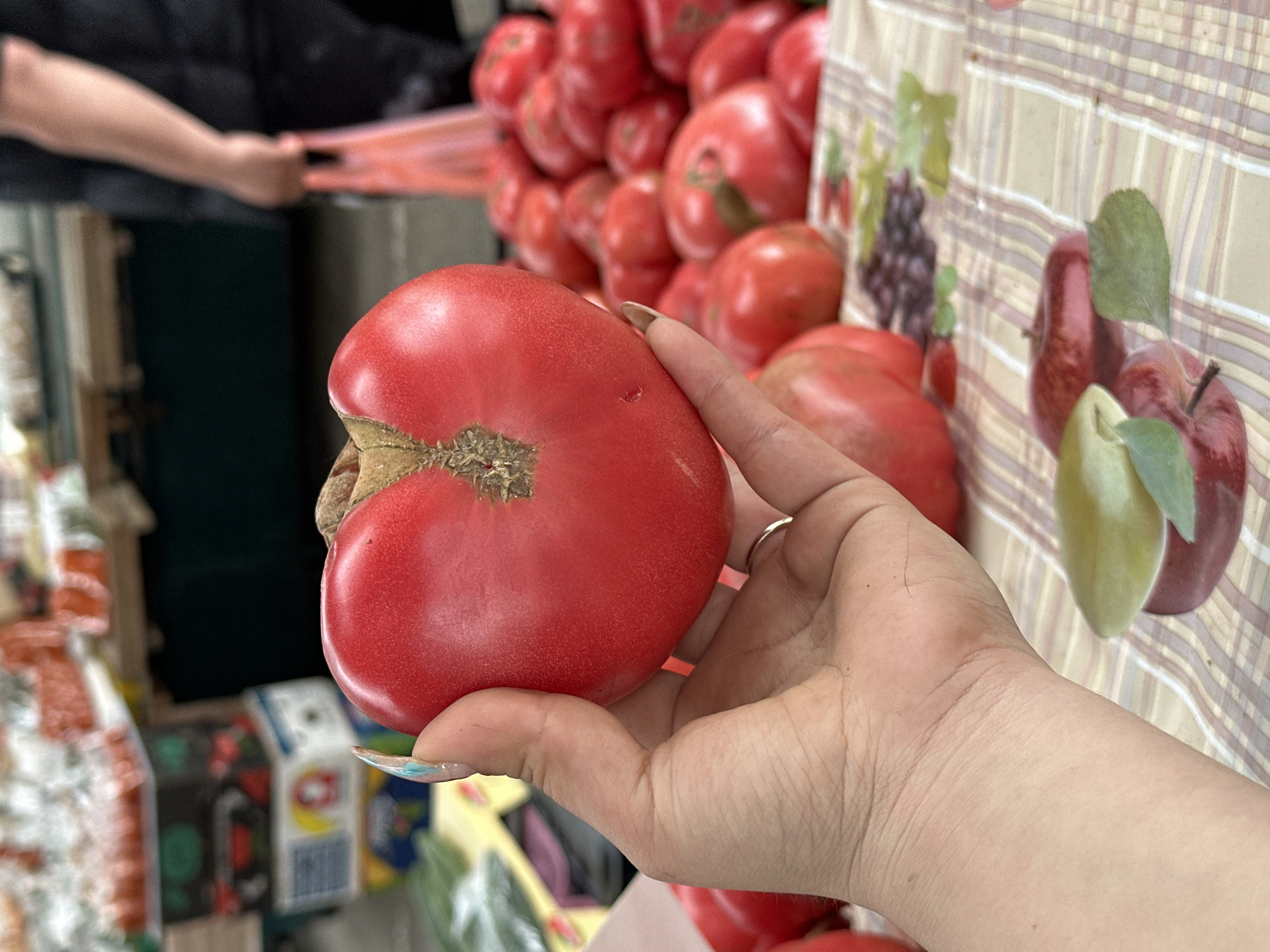 A person's hand holds a large, ripe red tomato in front of a fruit stand. The tomato has a slightly irregular shape with a prominent stem scar. The person's hand is adorned with a ring and painted nails. The background is filled with a profusion of tomatoes in various states of ripeness. A vendor is partially visible, reaching for a bag in the background. The fruit stand is covered with a tablecloth printed with images of apples and grapes. The location is likely Sliven, Bulgaria, suggested by the style of the produce display and the general atmosphere.