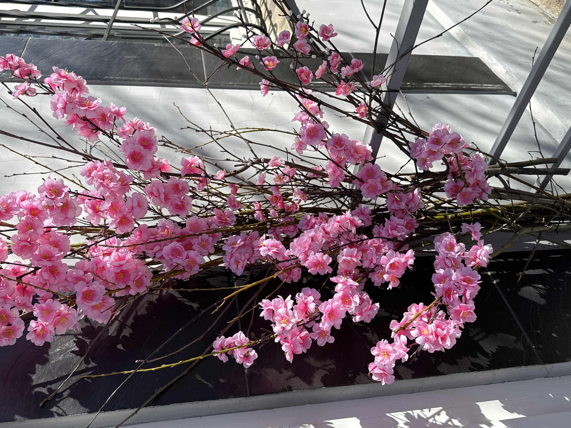 A close-up shot shows a profusion of artificial pink cherry blossoms arranged on a ledge. The blossoms are clustered on brown branches that cross and weave, some extending towards a background of window panes and white frames. Light and shadow patterns dapple the dark-colored surface beneath the arrangement. The location cannot be determined from the image.