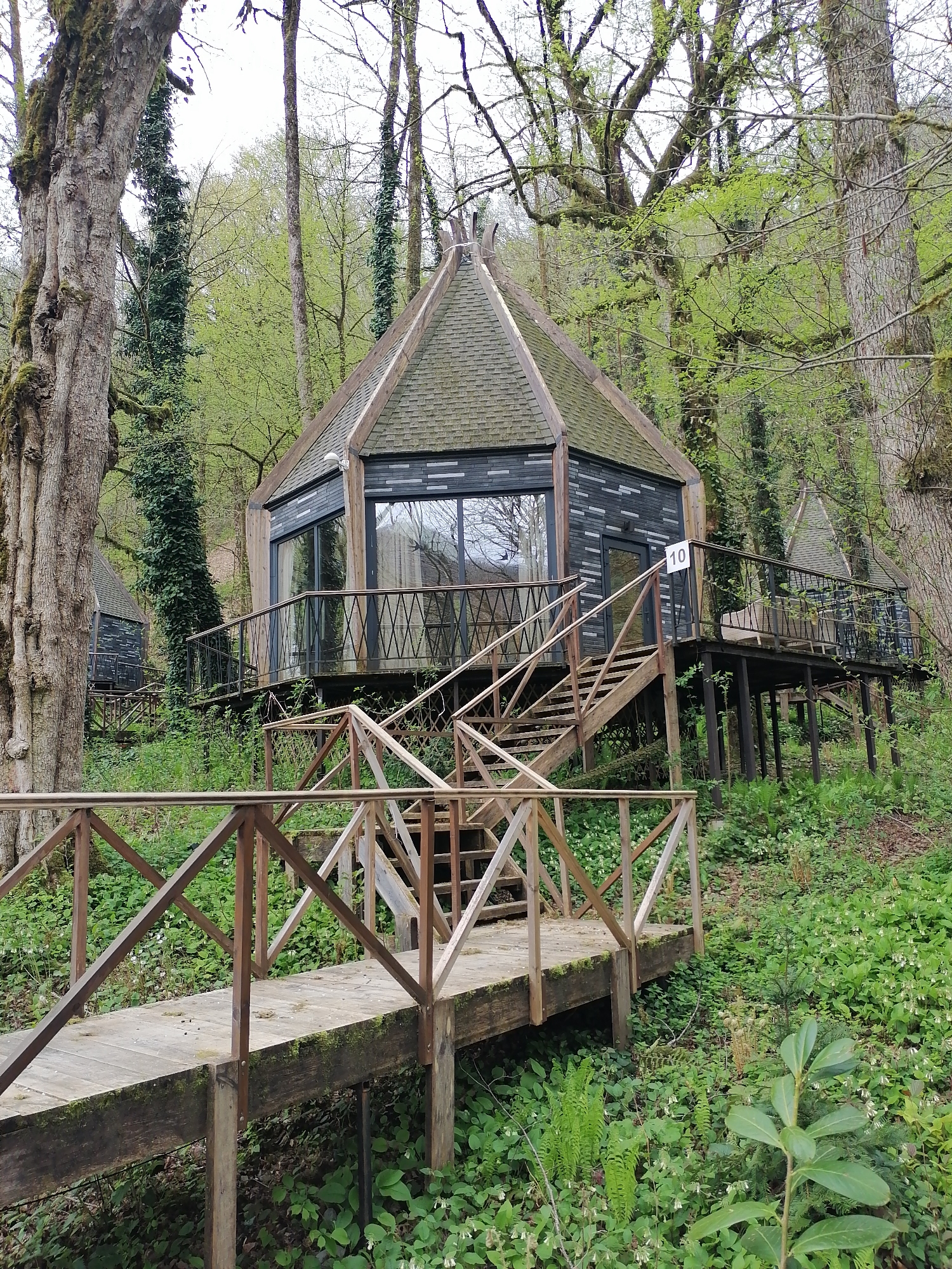 The image depicts a woodland scene with uniquely designed accommodations. Dominating the view is a raised, octagonal structure resembling a cabin or small house, elevated on stilts. Its exterior is characterized by dark, horizontal siding and a steeply pitched, shingled roof. Large windows offer views into the interior. A small sign with the number "10" is visible near the entrance. A wooden bridge with cross-braced railings leads to a staircase ascending to the structure's deck. Similar structures, partially obscured by trees, can be seen in the background. The foreground is filled with lush greenery, including ferns, flowering plants, and moss. The environment suggests a forested area, which corresponds with known images of lodging in Medoveevka, Russia. The lighting appears overcast, casting a soft, diffused light on the scene. There are no people visible in the image. The scene suggests a secluded, nature-oriented retreat or lodging establishment.