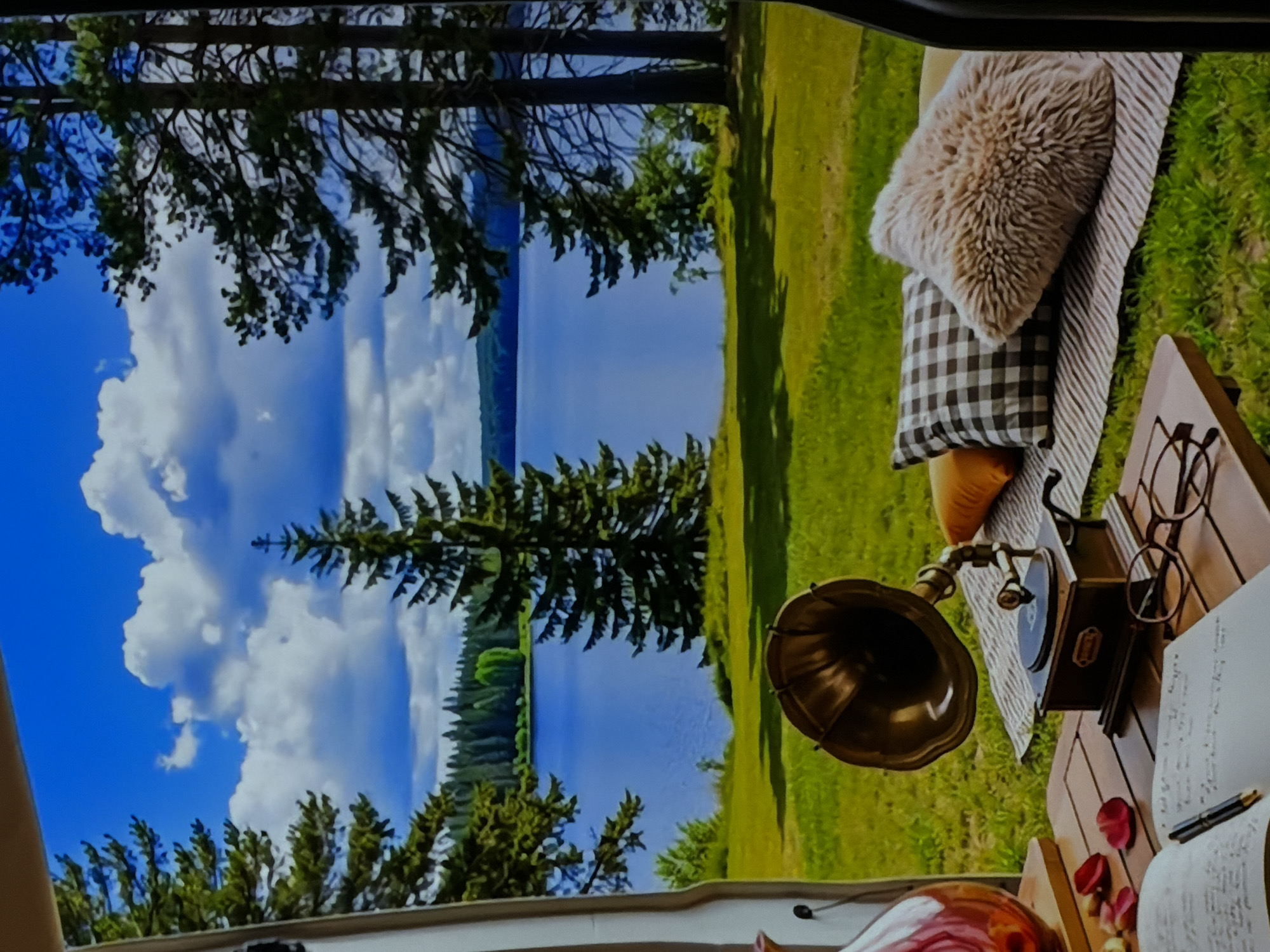 The image, presented with a 90-degree clockwise rotation, depicts a vibrant and tranquil outdoor scene, likely a large mural or poster, as viewed from a framed opening, possibly a vehicle window or interior space. The setting is a serene lakeside landscape featuring a calm, deep blue lake that reflects the bright sky. Dense forests of tall, dark green coniferous trees line the distant shore and the edges of the foreground, contributing to a rich, natural environment. The foreground consists of a lush green grassy area under a clear blue sky adorned with fluffy white clouds.
In the mid-ground, a cozy arrangement suggests a leisurely outdoor retreat. A light-colored, possibly wooden, slatted table or platform holds a vintage-style brass gramophone with a prominent horn. Alongside it, a pair of classic eyeglasses with round frames rests near an open book or notebook with visible, though illegible, handwritten text. A black pen, potentially a fountain pen, is placed on the pages. Several delicate red rose petals are scattered nearby, adding a romantic or contemplative detail.
Adjacent to the table, a striped blanket or mat, primarily grey and white, is laid out on the grass. Two inviting cushions are visible: one fluffy, light brown/beige pillow and one black and white checkered (gingham) pillow. A glimpse of an orange or mustard-colored cushion is also present. In the lower left corner, a partial view of a round, translucent red object, possibly a glass or decorative item, is seen.
No people are visible. The bright daylight and clear skies suggest pleasant weather. The overall scene evokes a sense of peace, relaxation, and nostalgia, ideal for reading, writing, or listening to music in nature. Given the location context, this image likely serves as decorative art or a scenic backdrop within Sofiivska Borshchahivka, Ukraine.