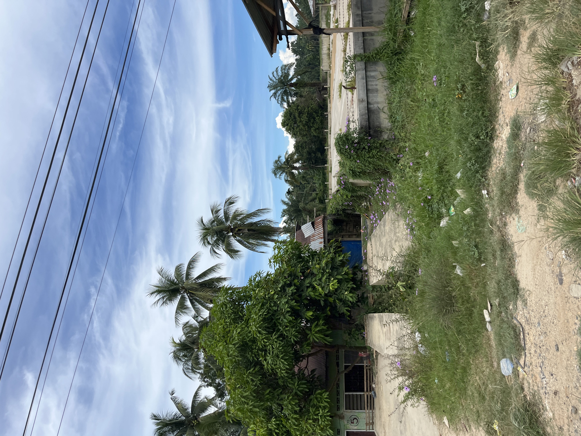A vertical, eye-level outdoor shot captures a scene in Seunebobaru, Indonesia, dominated by a bright blue sky with scattered white clouds and traversed by several black power lines. In the foreground, a dirt and gravel path leads to overgrown green grass, littered with white and blue plastic trash. A concrete pathway runs diagonally across the middle ground, adjacent to a low concrete wall covered in lush green vines with small purple flowers. Behind this, a cleared concrete area, possibly an outdoor court, is surrounded by a fence. A wooden structure with a corrugated metal roof stands to the right. To the left, a green building with a metal roof and window openings is partially obscured by a large, leafy green tree. Several palm trees are visible throughout the image, some towering over the landscape and others clustered in the background, characteristic of the tropical environment.