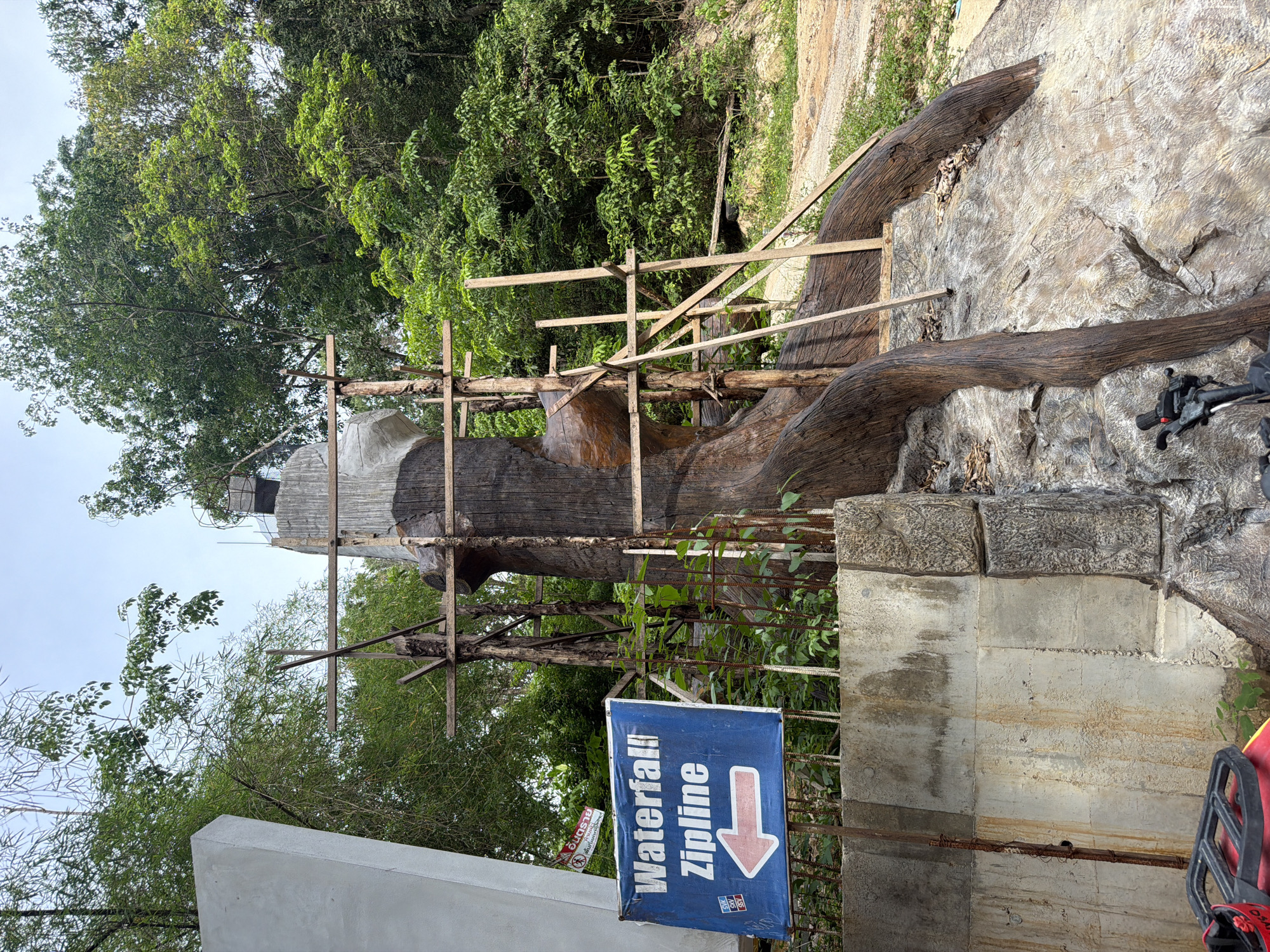 An outdoor scene depicts the base of a large, wooden sculpture resembling a tree trunk with exposed roots. The sculpture is partially supported by wooden scaffolding and appears to be under construction or renovation. To the left of the sculpture, a blue sign with white lettering reads "Waterfall! Zipline" and features a pink arrow pointing left, indicating a direction. The sign is attached to a concrete barrier. Behind the sculpture and sign, lush green trees and foliage create a natural backdrop. A dirt path is visible to the right of the sculpture, and a portion of what appears to be a red ATV or similar vehicle is in the lower left corner. The sky is overcast. The scene is likely located in a tropical environment, possibly a park or attraction in Ko Samui, Thailand, given the tropical vegetation and the sign pointing to a zipline.