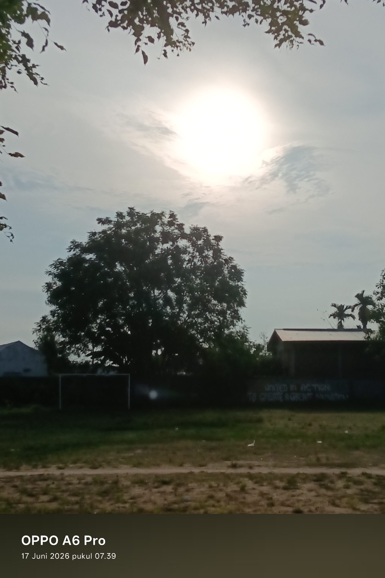 The image shows an outdoor scene on June 17, 2026, at 07:39. A large tree with dark green foliage is silhouetted against a bright sky with a hazy sun. In the background, a simple building with a dark roof and a white structure are visible, along with palm trees. A sports goal frame can be seen to the left of the large tree. The foreground consists of a grassy area and a dirt field. Text overlay indicates the device used is "OPPO A6 Pro". The scene is likely a park or an open field within the city of Lhokseumawe, Indonesia, given the date and time format.