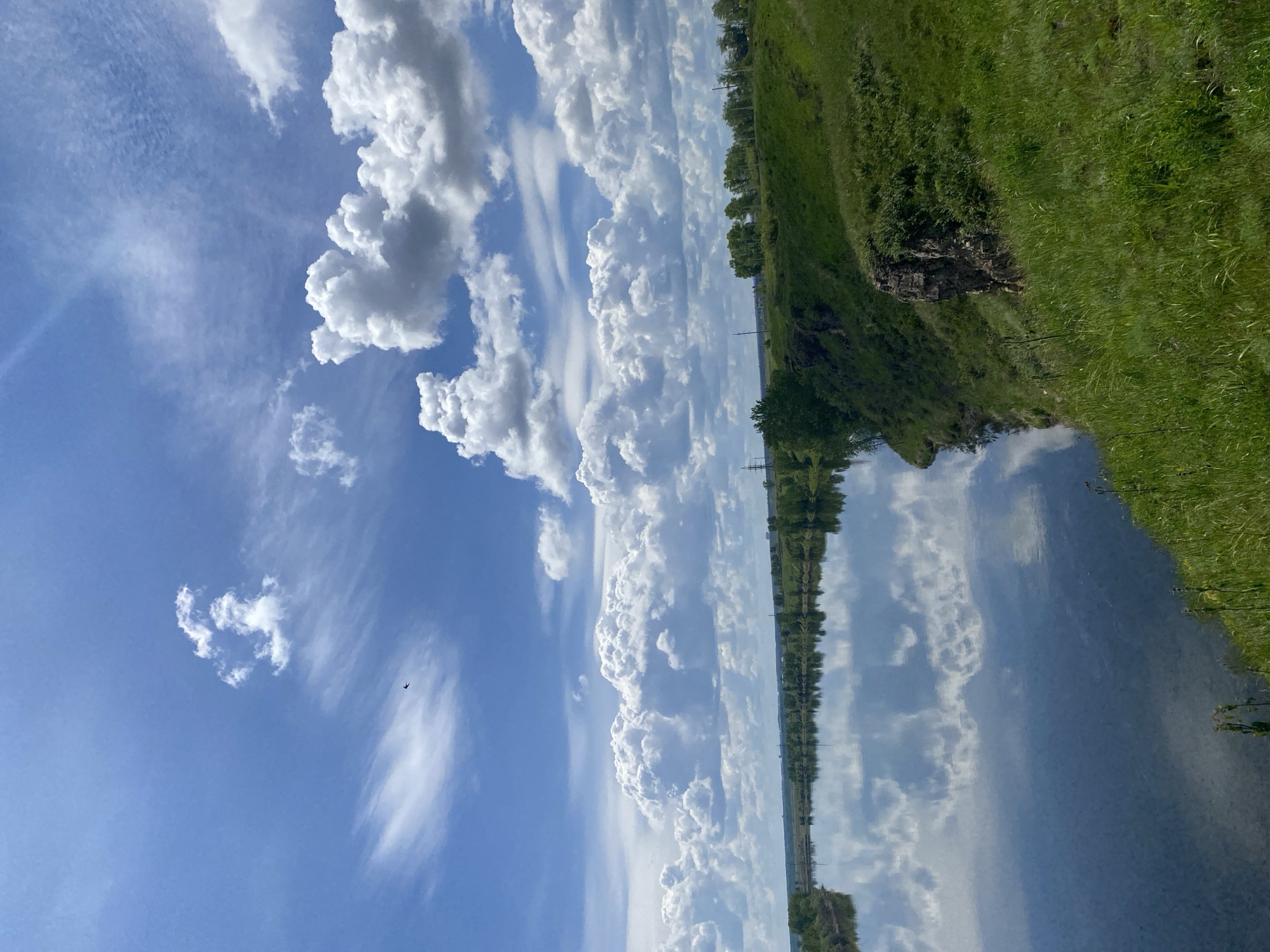 This image captures a serene natural landscape, likely a river or lake, under a bright, partly cloudy sky in Novomaltinsk, Russia. The upper half of the scene is dominated by a vivid blue sky, dotted with numerous white, fluffy cumulus clouds and interspersed with wispy cirrus clouds. A faint sun flare is visible in the upper left, while a small, dark bird is caught in mid-flight in the sky.
The horizon line spans the middle of the image, separating the dynamic sky from the calm body of water below. The water acts as a mirror, clearly reflecting the expansive blue sky and its cloud formations, creating a sense of depth and symmetry.
Along the closer bank, to the left, a lush expanse of green grass and foliage covers gently sloping terrain. A dark, rocky outcrop, partially veiled by greenery, is visible within this grassy bank. The distant bank, forming the opposing edge of the water body, is marked by a horizontal line of trees, which are also subtly reflected in the tranquil water.
The scene depicts a peaceful daytime setting with clear, fair weather. No people or specific activities are visible, emphasizing the natural beauty and tranquility of the landscape. The combination of open sky, reflective water, and verdant banks creates an impression of untouched natural splendor.