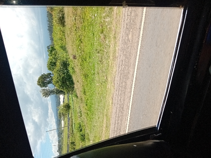 The image displays a landscape viewed from the interior of a vehicle through a window frame, captured in Timau ward, Kenya. A two-lane asphalt road with a distinct white line on its edge occupies the lower mid-ground. Adjacent to the road, a sloping grassy embankment rises, covered in varying shades of green vegetation, including numerous bushes and several trees. In the mid-distance, a narrow body of water, possibly a river or lake, is visible, bordered by what appears to be a light-colored fence or structure. Beyond the water, multiple utility poles are discernible against a backdrop of distant hills or mountains. The sky above is partly cloudy, with scattered white and grey clouds. No individuals are visible.