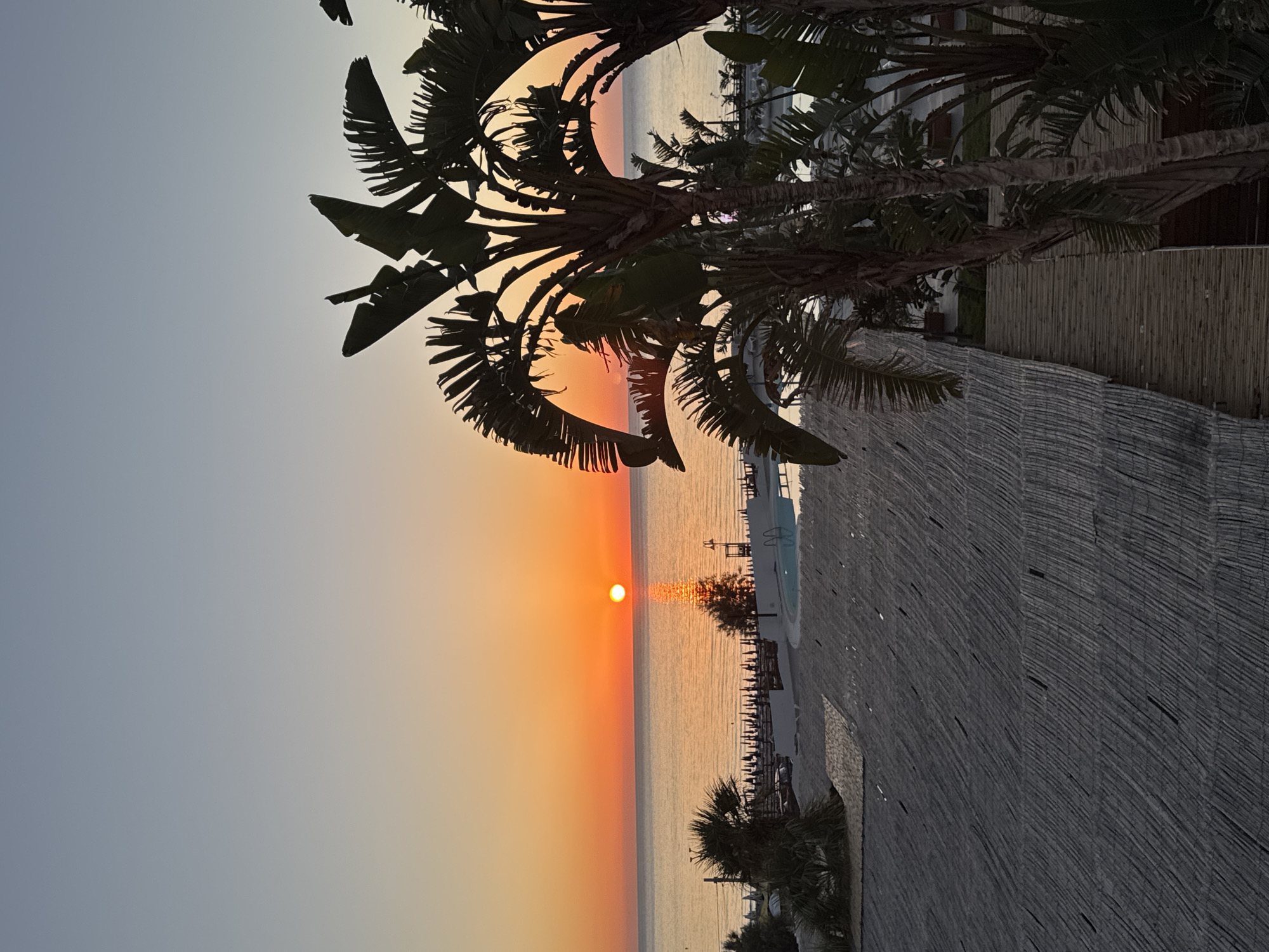 The image captures a serene sunrise over the sea in Isola delle Femmine, Italy. The sun, a bright orange orb, is positioned low on the horizon, casting a shimmering golden path across the calm water. The sky transitions from a pale blue at the top to a warm orange hue closer to the horizon, indicating the early morning light.
In the foreground, silhouetted palm trees with large, frond-like leaves frame the scene on the right side, adding a tropical ambiance. Below them, a thatched roof structure with a textured, woven surface occupies the lower portion of the frame. To the left of the palm trees, a view opens up to reveal a resort-like setting with a swimming pool, lounge chairs, and rows of beach umbrellas lined up on the shore. The overall atmosphere is tranquil and picturesque, suggesting a peaceful start to the day in a coastal resort.