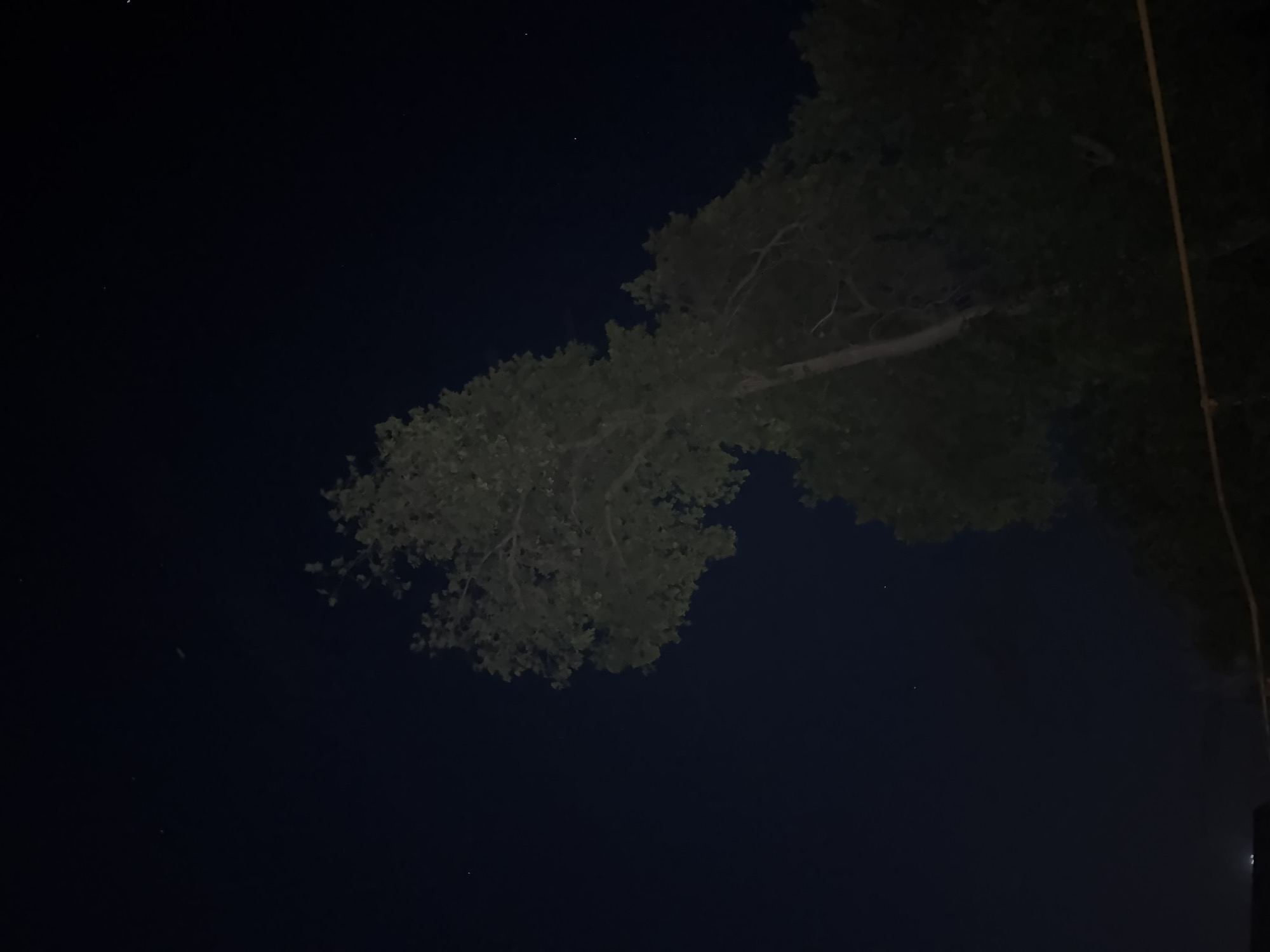 The image depicts a dark night sky with a few stars visible. A large tree with dense foliage dominates the lower half of the frame, extending upwards and to the right. The leaves of the tree are partially illuminated, suggesting an external light source not visible in the frame. In the far lower left corner, a faint, bright rectangular light source is visible, possibly indicating a building or street light. A thin, horizontal line, likely a wire or cable, crosses the lower portion of the image. The scene appears to be outdoors, likely in a natural or semi-urban setting given the presence of the tree and the distant light. The provided location of Taganrogskii, Russia, places this scene in a specific geographical context.