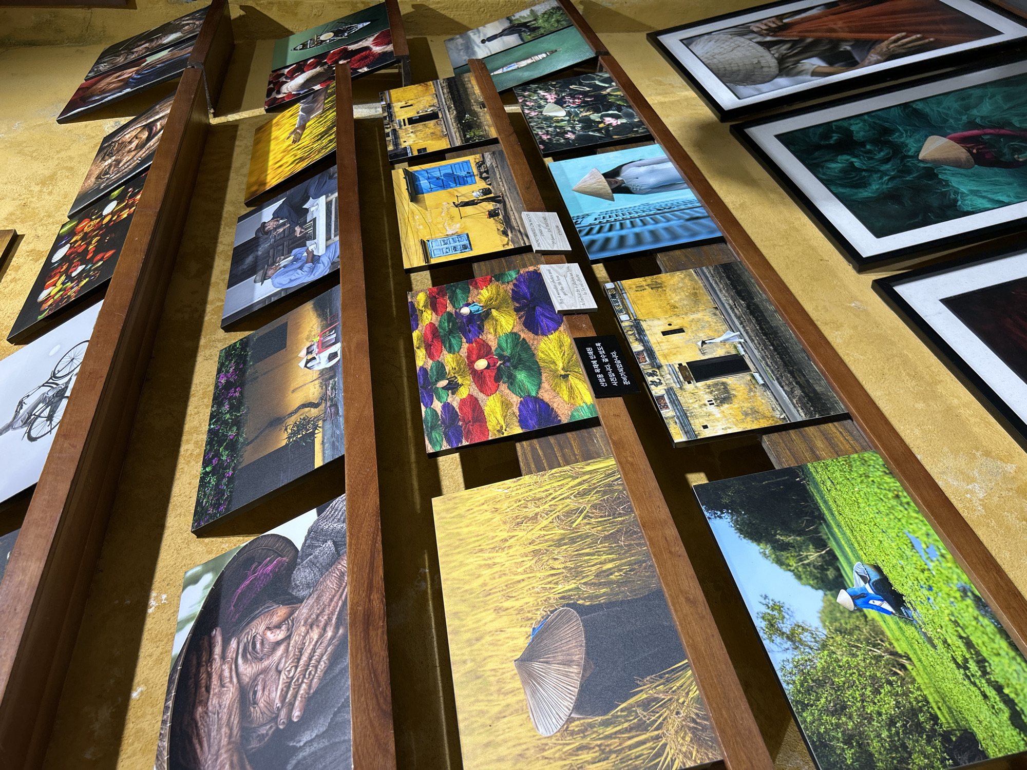 The image depicts a photography gallery or shop in Hội An Ward, Vietnam, showcasing numerous framed and unframed prints on five wooden shelves against a textured, yellow-ochre wall. The top shelf, partially visible, displays prints including a black and white photograph of a bicycle, vibrant floral compositions, and a close-up portrait. The second shelf features a prominent close-up portrait of an elderly individual, possibly a woman, with deeply wrinkled hands partially covering her face, wearing a traditional Vietnamese conical hat (nón lá). Next to it is a landscape with purple flowers over water, followed by a print of two men in fedoras at a table, a portrait of an elderly man's weathered face, a vivid night scene of illuminated traditional lanterns, and another portrait of an elderly woman. The third shelf prominently displays a photograph of a person in a conical hat wading through a golden rice field. Adjacent to it is a vibrant print featuring multiple colorful circular elements (possibly lotus leaves or umbrellas) in red, yellow, green, and purple, with small figures. Below this is a small sign with Korean text. Further along, a photograph depicts a traditional yellow building with bright blue window shutters and a blue door, with a person carrying a yoke walking past. Below this print, a small white sign reads "WOODEN PHOTO. Made in Hoi An. 15x20cm. 100.000 VND" and "Buy 4 wooden photos and get 5th free." Other prints on this shelf include another yellow building scene, a landscape with an outstretched arm, a person handling red fabric or a fishing net, and a traditional boat on a river. The fourth shelf showcases a photograph of a person in a blue outfit and conical hat paddling a boat through a vivid green waterway, a vertical print of a woman in a white ao dai and conical hat against a textured blue wall, and images of lotus flowers and green foliage. The bottom shelf presents several larger, framed photographs with black frames and white mats. These include a person in a conical hat holding a red fishing net, and another person in a conical hat wearing a reddish top against a swirling teal-green background. A framed image of a white-clad figure walking past a yellow building is also visible. The entire scene is illuminated by ambient lighting, highlighting the diverse collection of photographs which collectively portray aspects of Vietnamese culture, landscapes, and daily