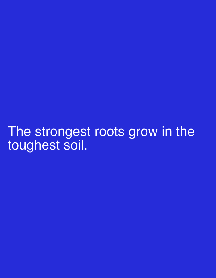 The image displays white text on a solid blue background. The text reads: "The strongest roots grow in the toughest soil." There are no people, objects, or environmental elements visible in the image, and therefore, no information can be provided regarding its location in Jalingo, Nigeria, or any details about a scene, people, subjects, objects, actions, interactions, or the environment.