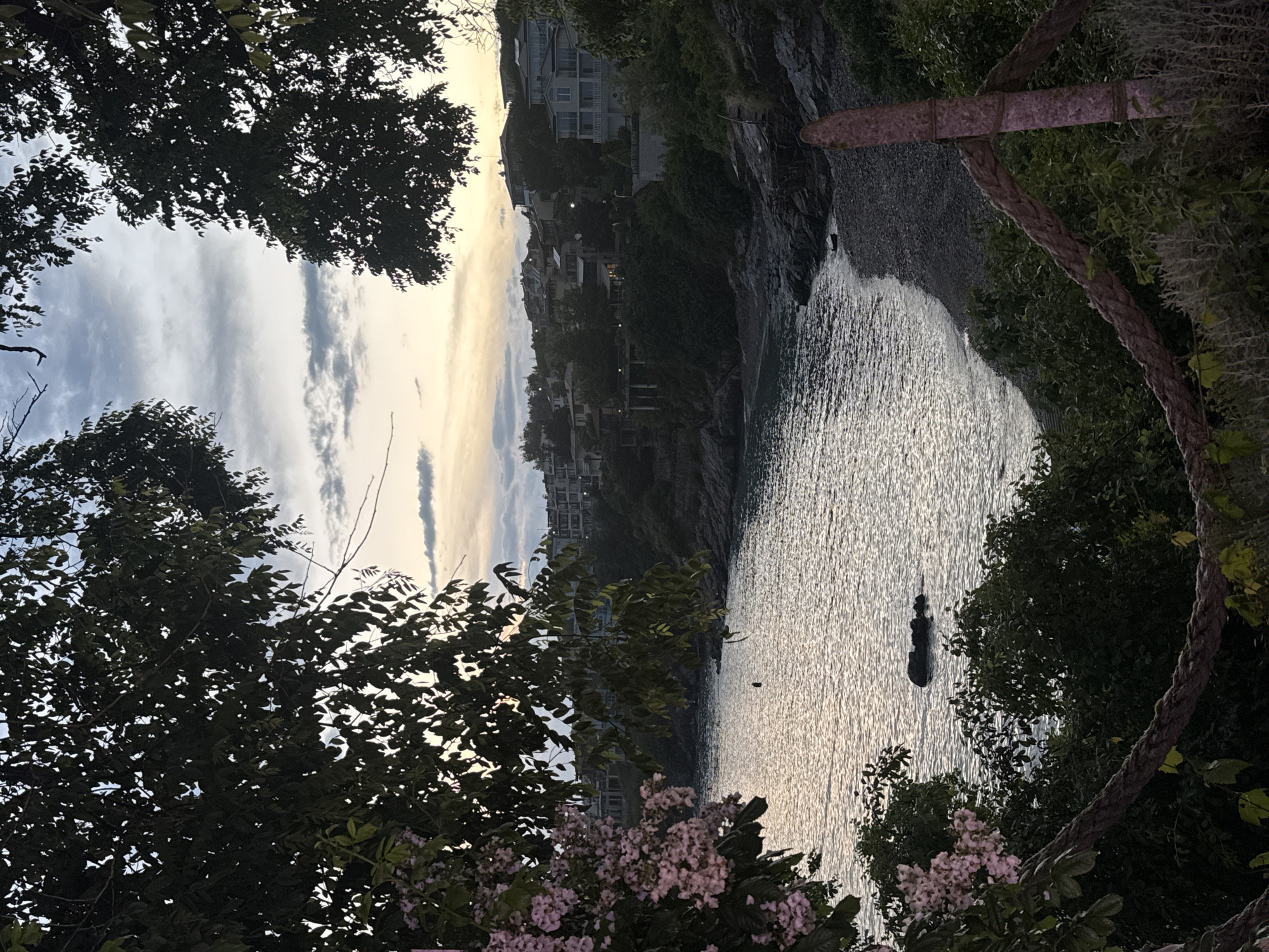The image displays a serene coastal landscape captured during what appears to be either sunrise or sunset, evidenced by the soft, warm light on the horizon and reflected on the water. The scene is framed by the dark silhouettes of lush tree branches and foliage, some bearing delicate pinkish-purple flowers, in the foreground. A thick, braided rope fence or railing is visible on the far right.
The midground features a calm body of water, likely the sea, which shimmers with reflections of the low sun. A dark, indistinct object, possibly a small boat or a float, rests gently on the water's surface towards the center-right.
In the background, a steep, rocky coastline is adorned with numerous multi-story buildings, predominantly light-colored, built into the cliffs. These structures suggest a charming seaside settlement. The sky above is a mix of soft blues and greys, with horizontal cloud formations gradually transitioning to warmer, yellowish tones near the horizon.
No specific activity or event is taking place, contributing to the tranquil and peaceful ambiance of the scene. There is no visible text. The location context for this picturesque scene is Sozopol, Bulgaria.