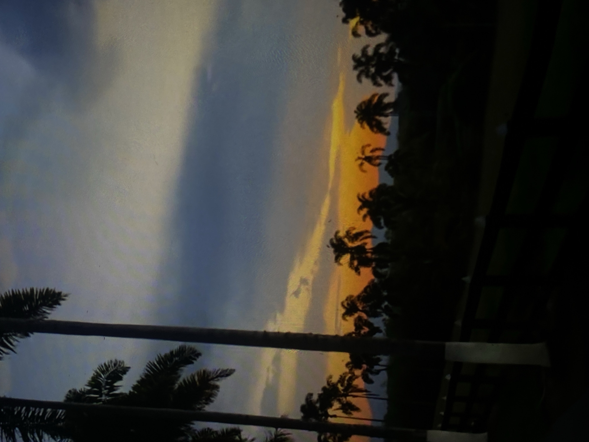 This photograph captures a tranquil sunset scene, likely in or near the city of Tinaquillo, Venezuela. The foreground is dominated by the dark silhouettes of several tall palm trees, their fronds fanning out against the colorful sky. A wooden fence, painted with white stripes on some posts, runs horizontally across the lower part of the image, suggesting a park or a rural property. Beyond the fence, a line of palm trees and other vegetation forms a dark, dense band against the vibrant sunset. The sky itself is a spectacle of color, transitioning from a bright orange glow near the horizon to softer yellows, blues, and grays as it ascends. The overall impression is one of peaceful, natural beauty at the close of day.