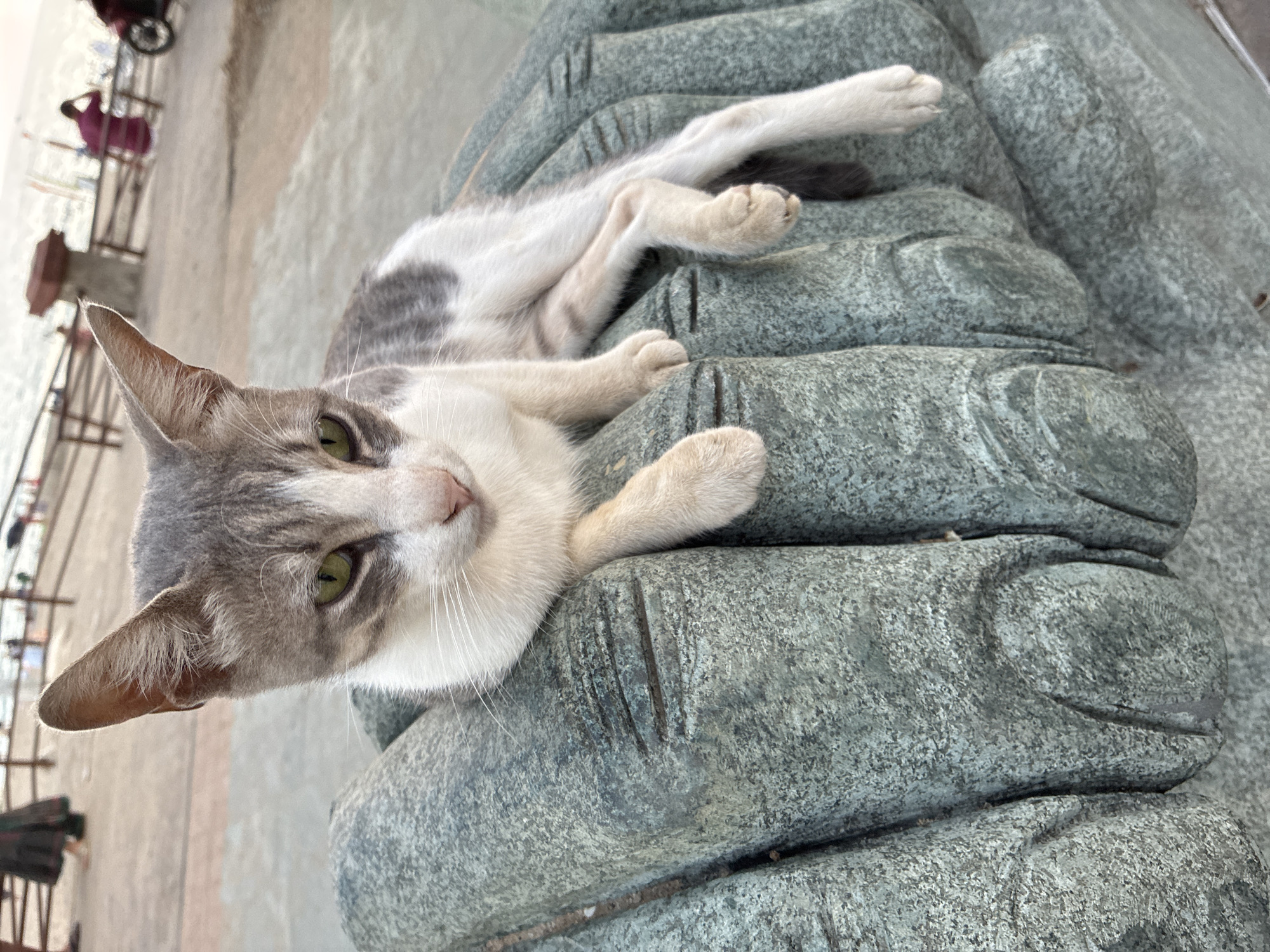 A white and grey cat with green eyes is lying on a large stone sculpture of a hand in Alanya, Turkey. The cat is positioned with its front paws resting on the sculpture's fingers and its body extending along the palm. In the background, a beach with people and a motorcycle is visible. The ground is paved with stone.