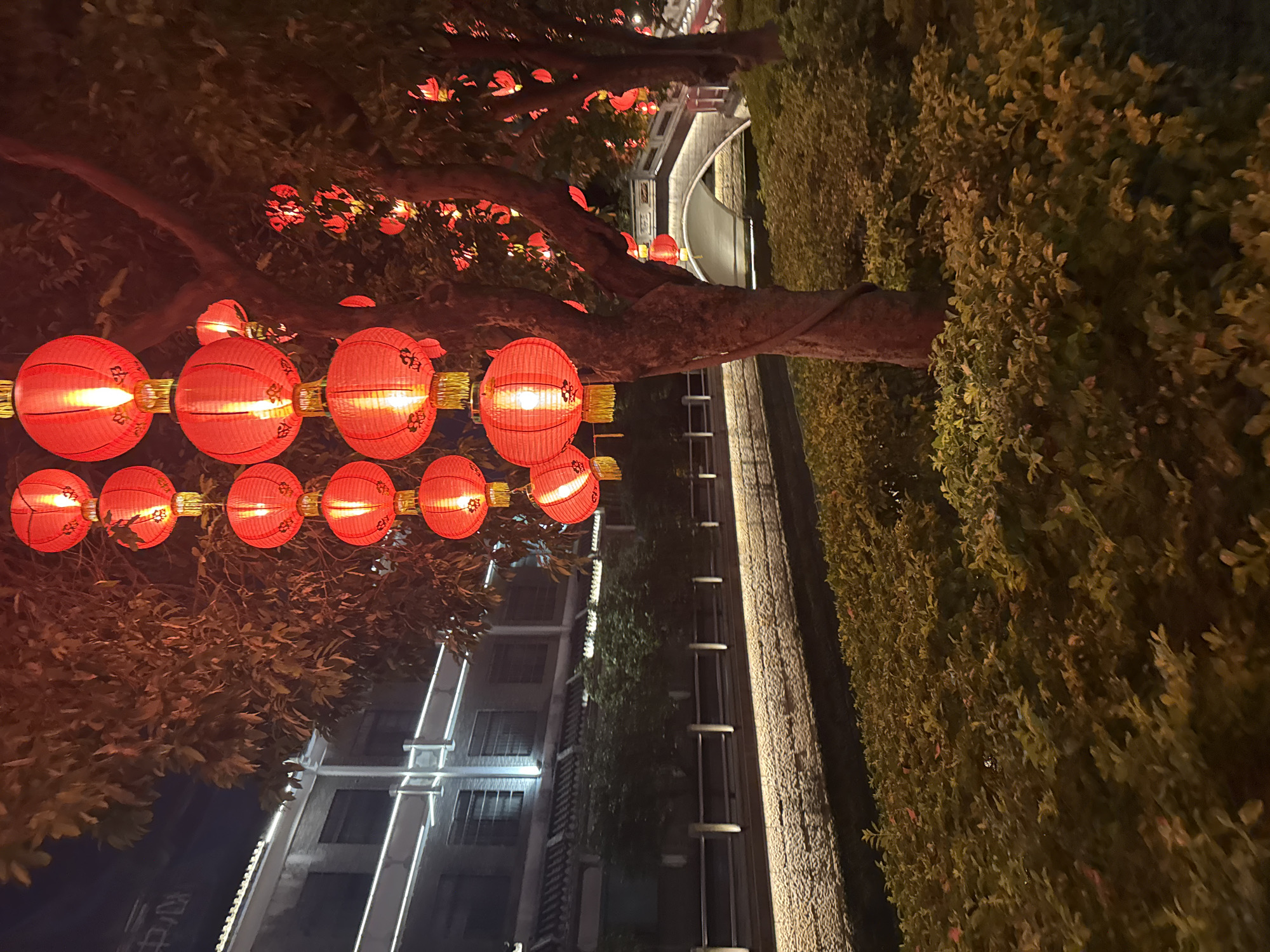 The image depicts a nighttime scene in what appears to be the Liwan District of China, judging by the architectural style and decorative elements. A tree stretches across the frame, adorned with strings of glowing red Chinese lanterns. To the right of the tree, a vertical wall of greenery adds texture. In the background, a multi-story building is visible, its façade partially covered in vertical greenery, with what appears to be a pathway or bridge illuminated in the distance. The overall lighting suggests an urban setting, with a mix of artificial illumination and shadows.