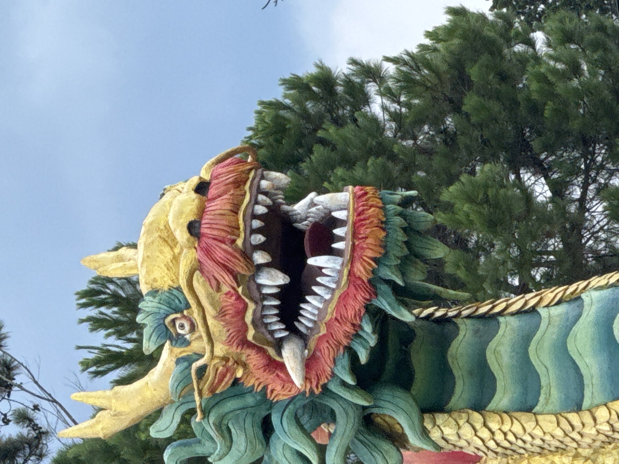 The image displays a close-up, eye-level, outdoor, daylight shot of a colorful, ornate dragon sculpture's head and upper body, set against a backdrop of pine trees and a cloudy sky. The dragon's head is golden yellow, with a red and orange fringed mouth revealing sharp, white teeth. Its eyes are visible, with one showing a distinct pupil and iris. The dragon has green, mane-like appendages around its head and neck, and its body is covered in golden scales and a green, wavy pattern. A rope is visible coiled around its neck. The dragon sculpture appears to be a prominent feature, possibly in a park or religious site. Based on contextual information associated with the image, it is located in Phường Xuân Hương - Đà Lạt, Vietnam.