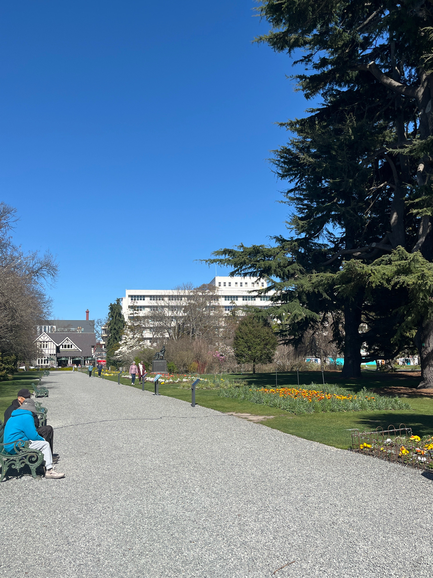 This image depicts a scene in the Botanic Gardens of Christchurch, New Zealand, under a clear blue sky. In the foreground, a gravel pathway extends into the distance, bordered by manicured lawns and flower beds. Two individuals are seated on a green bench on the left side of the path; one is wearing a blue hoodie and grey sweatpants, and the other is wearing a black cap and dark clothing. Further along the path, several people are walking, including a group of three women in the middle ground, one in a pink jacket, another in a light brown jacket, and a third in a blue jacket. Behind the flower beds, a white building with multiple windows stands out against the sky. To the left of the pathway, a large, ornate building with a dark roof and white trim is visible, with trees in the foreground. Dominating the right side of the image are the dense branches and foliage of a large conifer tree, its dark green needles contrasting with the bright sky. Another, younger conifer tree is situated in the middle ground, to the left of the white building. The scene appears to be during daylight hours, likely spring or early summer, given the presence of blooming flowers and the overall greenery.