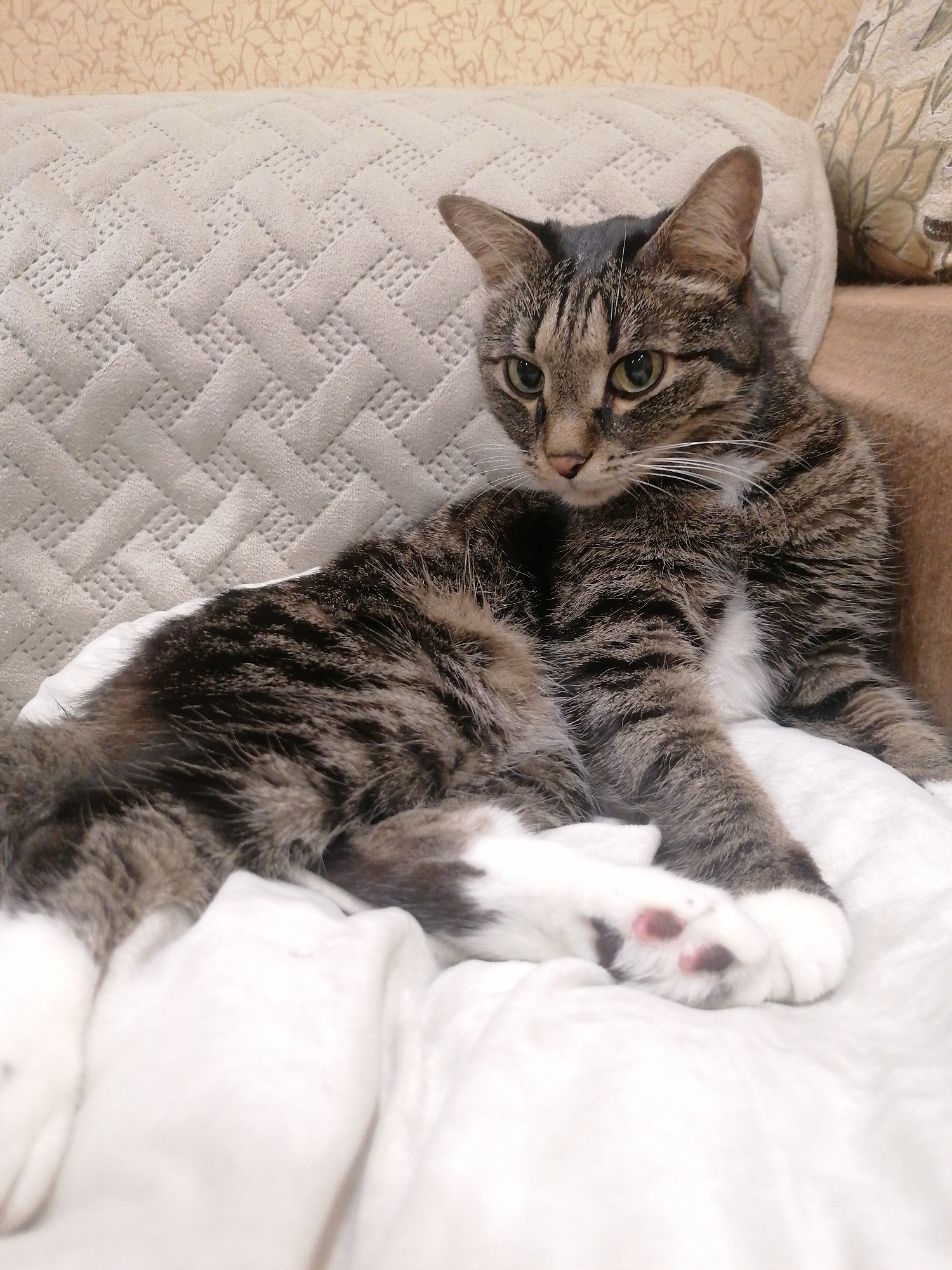 A tabby cat is lying on a white blanket on a couch. The couch has a textured, light beige throw on its backrest. The cat is mostly facing left with its head turned towards the viewer. Its fur is striped brown and black with white markings on its chest and paws. The cat's eyes are green. The background shows a beige wallpaper with a floral pattern. The image is a close-up shot. There is no indication of the city of Angarsk, Russia.