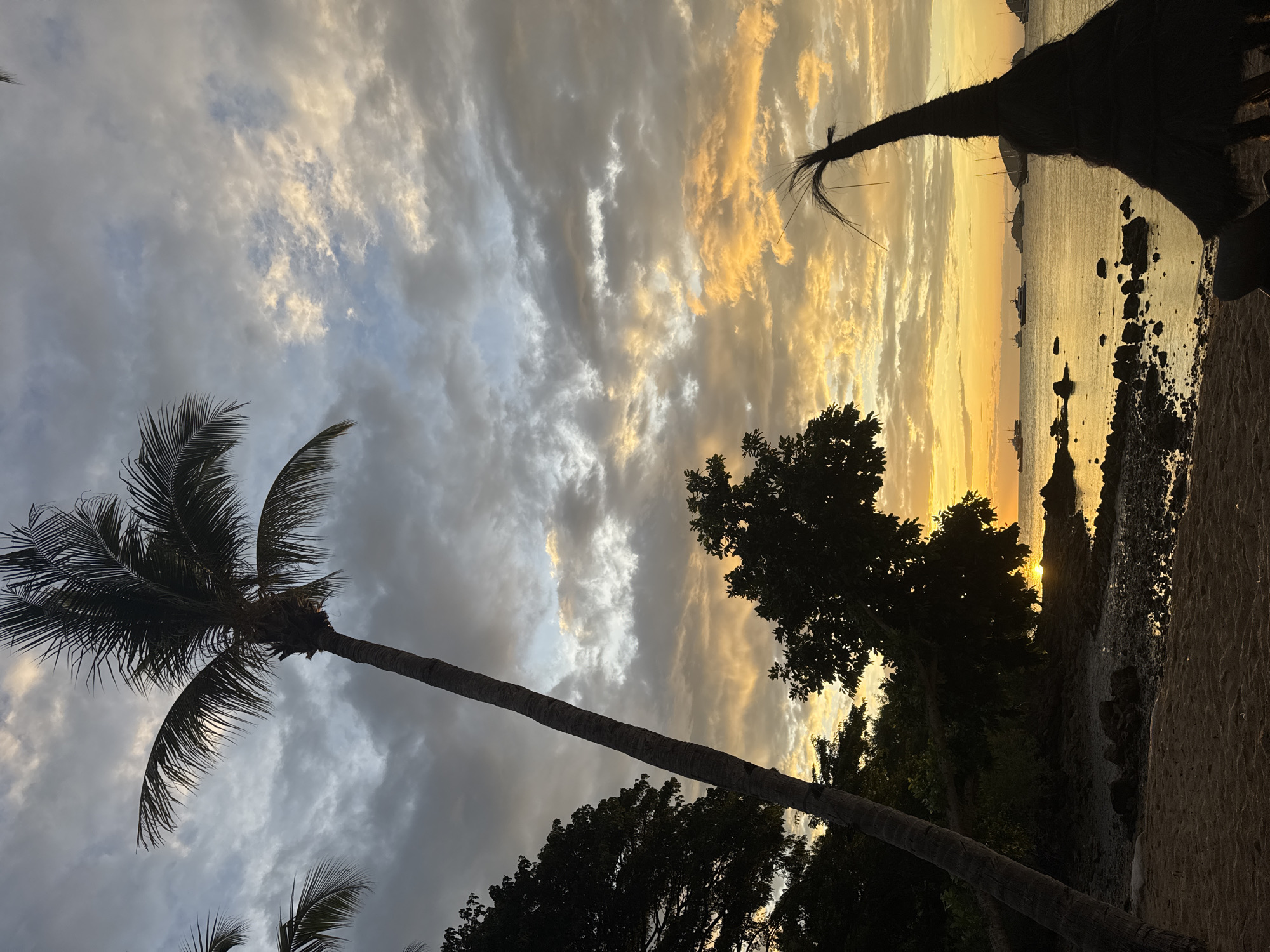 This image shows a sunset scene from a beach in Unknown, Unknown. The sky is filled with a mix of grey and orange clouds, with the sun's light breaking through near the horizon. Silhouetted palm trees are visible on the left side, and other trees and foliage are also silhouetted in the foreground. The beach is in the bottom right corner, with rocks and sand visible. Boats or ships can be seen on the water in the distance.