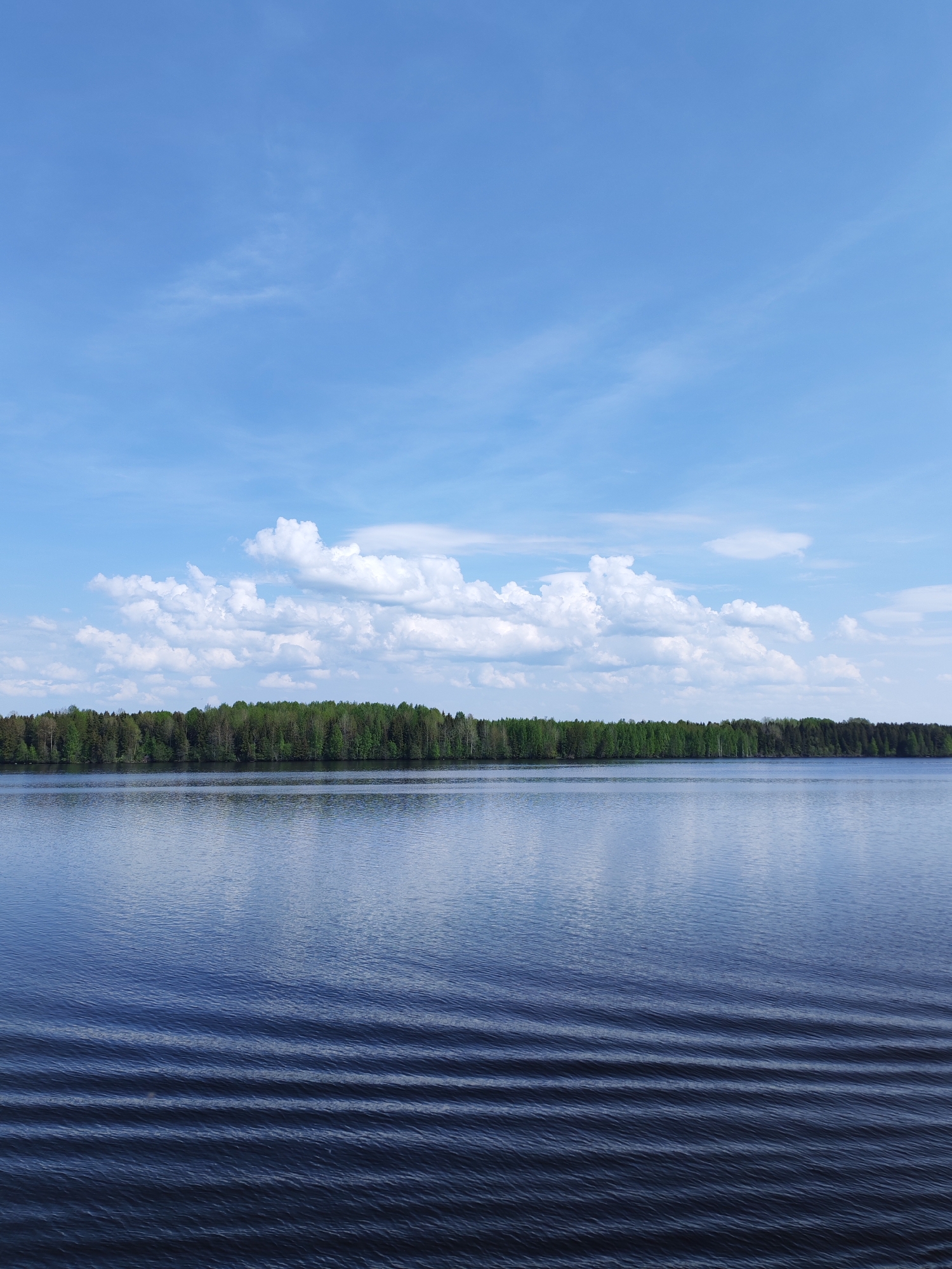 The image depicts a body of water, likely a lake, under a partly cloudy sky. A line of trees is visible on the far shore. The water is dark blue and rippled with small waves. The sky is a light blue with scattered white clouds. Based on the context provided, this scene is located in or near Bessolovo, Russia. There are no visible people or specific objects other than the natural elements.