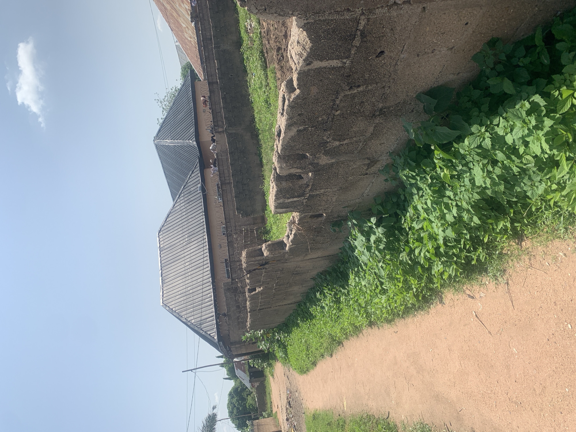 The image depicts an outdoor scene in Jalingo, Nigeria, likely during daylight hours due to the bright sky and clear visibility. The perspective is from a low angle, looking upwards and sideways, with the image rotated.
The primary subjects are a building with a corrugated metal roof and concrete block walls, and a dirt path running alongside it. Lush green vegetation, including tall grasses and leafy plants, grows abundantly along the wall and the edge of the path. The building appears to be of modest construction, with some signs of wear and tear on the concrete wall. Barbed wire is visible along the top of the wall, suggesting a security measure. In the distance, more buildings and trees can be seen, indicating a residential or semi-urban area. The sky is bright blue with a single, wispy white cloud.
No people are visible in the frame, and no specific activity or event is clearly taking place. The scene appears to be a still, everyday moment. Notable details include the texture of the concrete blocks, the vibrant green of the plants contrasted with the dry earth of the path, and the simple, functional architecture of the building. The overall impression is one of a warm, possibly humid climate, typical of many parts of Nigeria. There is no visible text in the image.