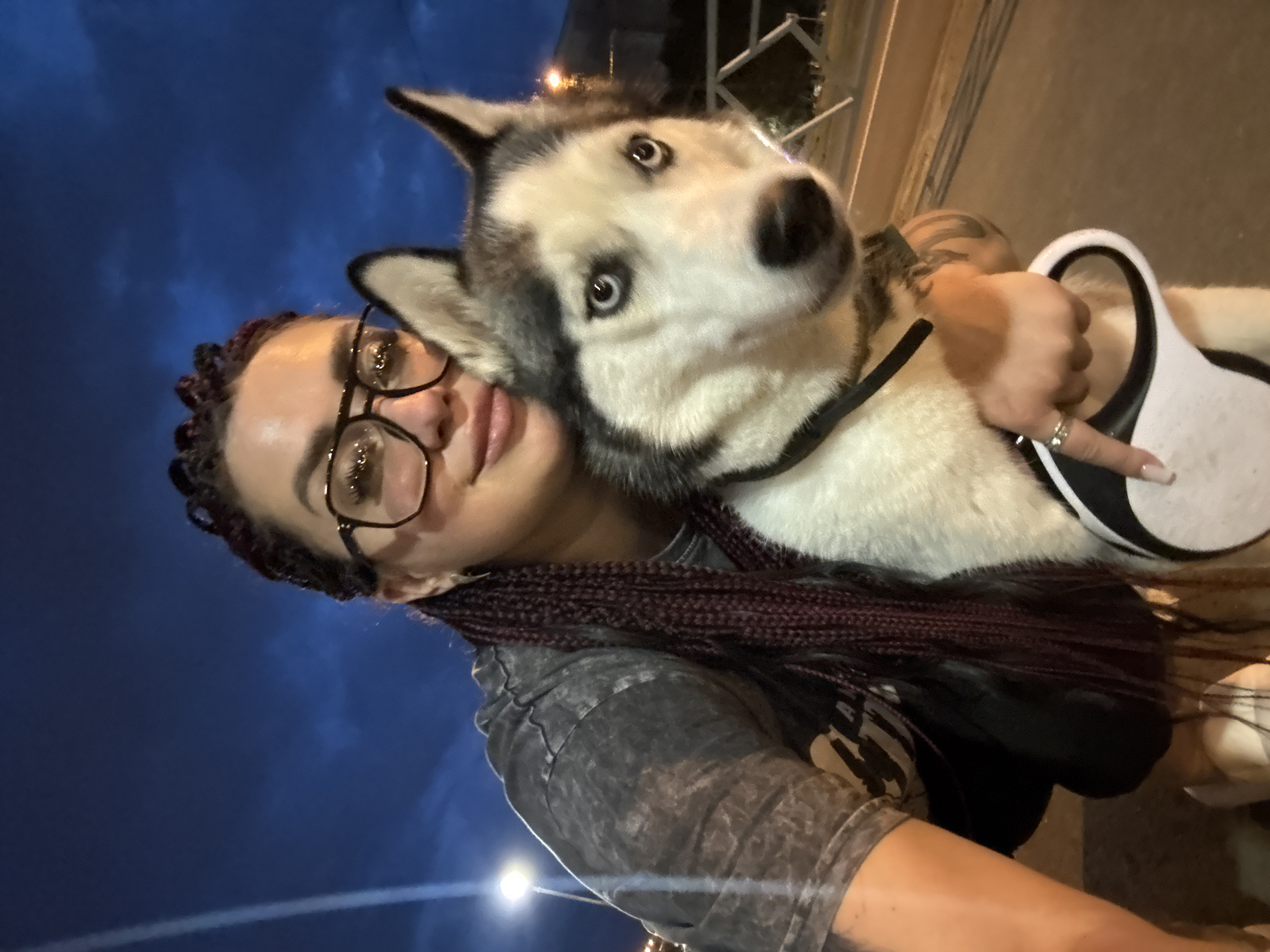 A woman with braided hair and glasses is taking a selfie with a Siberian Husky. They are outdoors at dusk, with streetlights and a dusky sky visible in the background. The woman is wearing a grey t-shirt, and the dog is wearing a black collar. The woman is holding a retractable dog leash. The location is identified as Tolyatti, Russia.