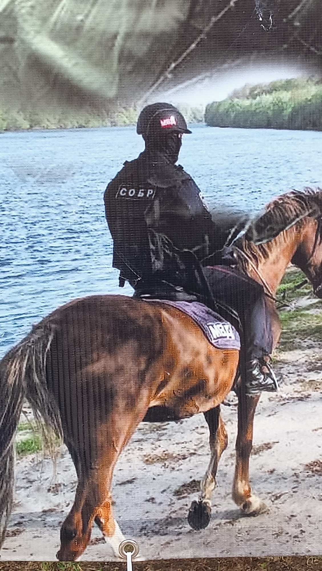 The image captures a person in dark tactical gear mounted on a brown horse, standing on a sandy bank beside a body of water. The person, seen from a three-quarter back angle, is dressed in a black balaclava, a dark helmet with a red patch, and a black tactical vest or body armor. The word "СОБР" (SOBR), a Russian acronym for Special Rapid Response Unit, is prominently displayed in white letters on the back of the vest.
The horse is a bay or brown color with a dark mane and tail, and has white "socks" on its lower legs. It is fitted with a dark saddle pad, possibly purple, which bears the white letters "МВД" (MVD), signifying affiliation with the Ministry of Internal Affairs. The horse stands calmly, facing towards the expansive body of water, which could be a river or a large lake.
The scene is set outdoors during daylight. The far bank across the water is densely covered with lush green vegetation. The ground beneath the horse is a light-colored sand or dirt. The overall impression is one of a specialized unit conducting patrol or observation in a natural, possibly remote, environment. The visible text "SOBR" and "MVD" suggests a Russian-affiliated law enforcement or military presence, which aligns with the context of Tiraspol, Moldova (Transnistria), where such units operate. A metal grommet at the bottom of the image indicates it might be a photograph of a banner or display.