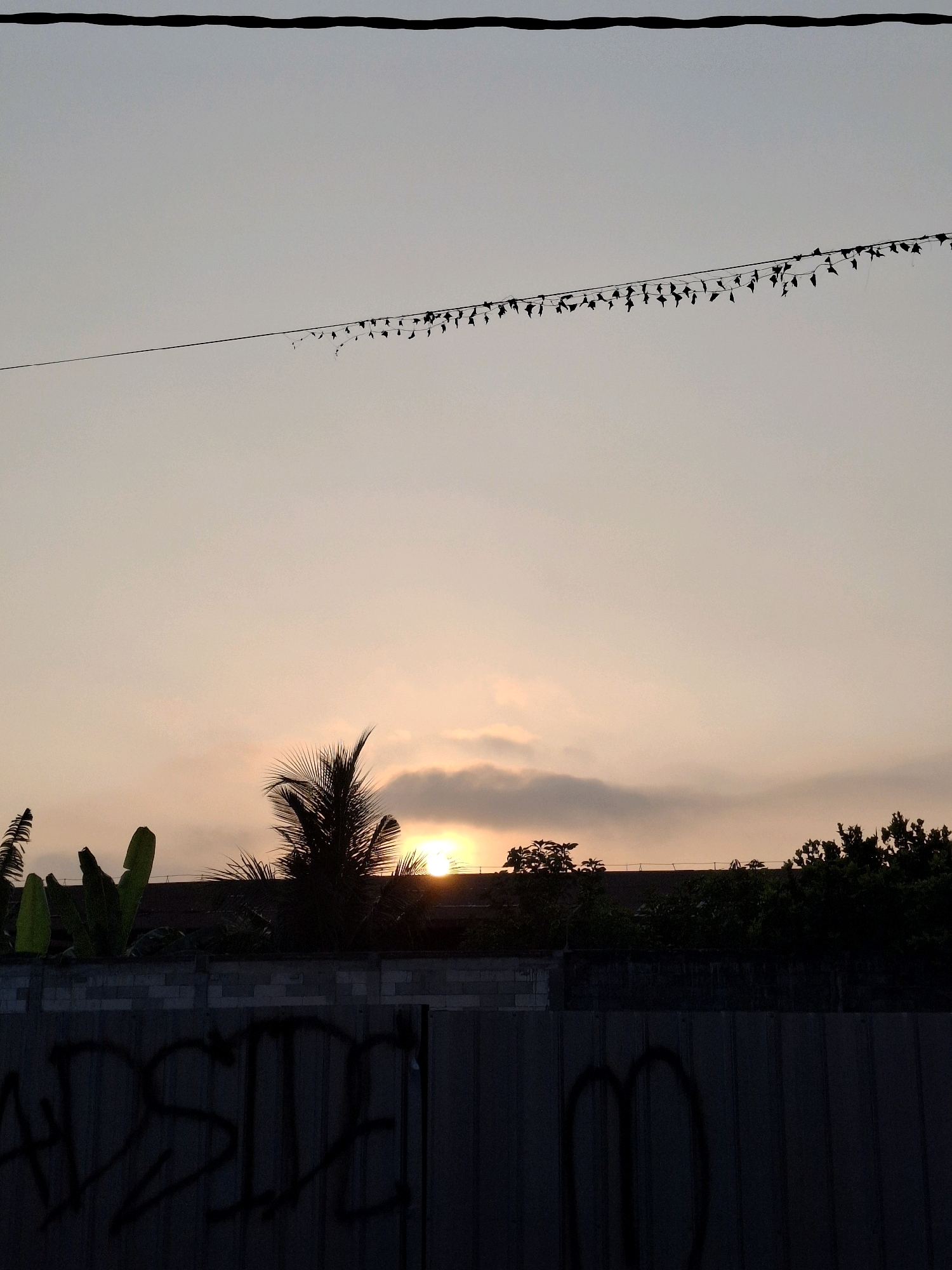 The image depicts a sunset over a residential area in Lumajang, Indonesia. The sky is a pale gradient of grey and orange, with the sun partially obscured by clouds. Silhouetted against the sky are the tops of trees, including a palm tree, and the rooftops of buildings. A dark-colored fence with graffiti runs across the lower portion of the image. Overhead, two thin wires are visible, one a thick black power line and the other a thinner wire strung with a series of small, dark flags or pennants. The scene appears to be captured from a street-level perspective, looking upwards. There are no people or animals visible in the frame.