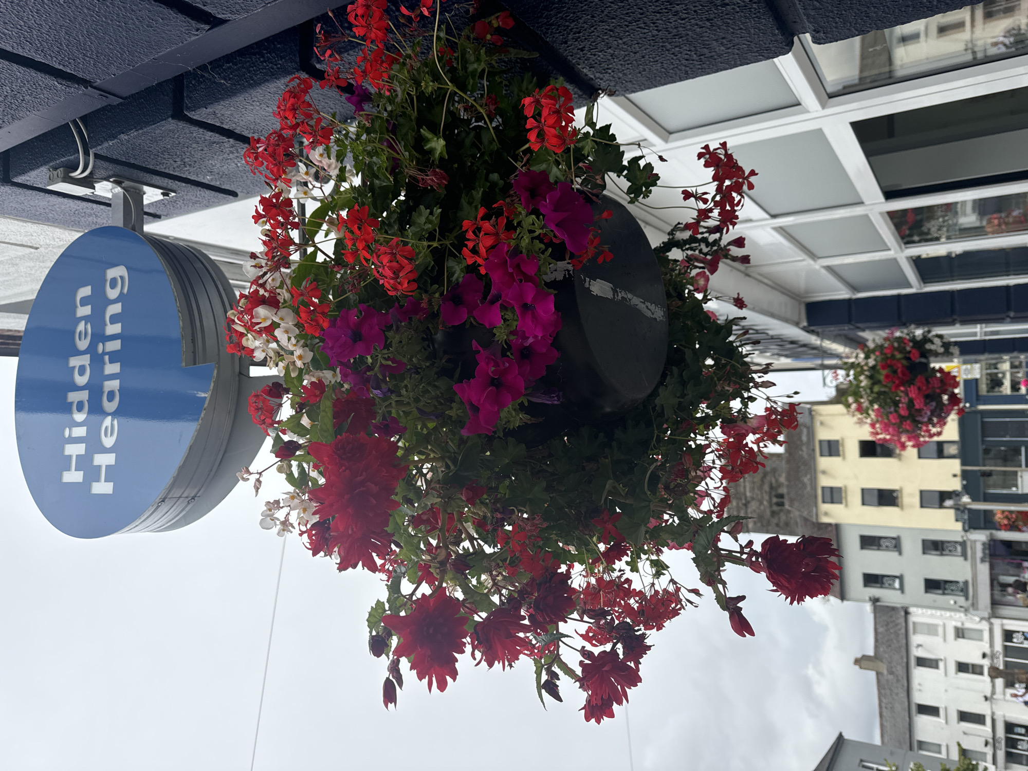 An outdoor, eye-level shot captures a hanging basket overflowing with red and pink flowers, suspended from a dark, textured building facade. Above the flowers, a round blue sign with white lettering reads "Hidden Hearing." The building has white-framed windows. In the background, buildings with varying colors and architectural styles are visible along a street. The sky is overcast and gray. The scene appears to be on a street in Waterford, Ireland, likely in the city center.