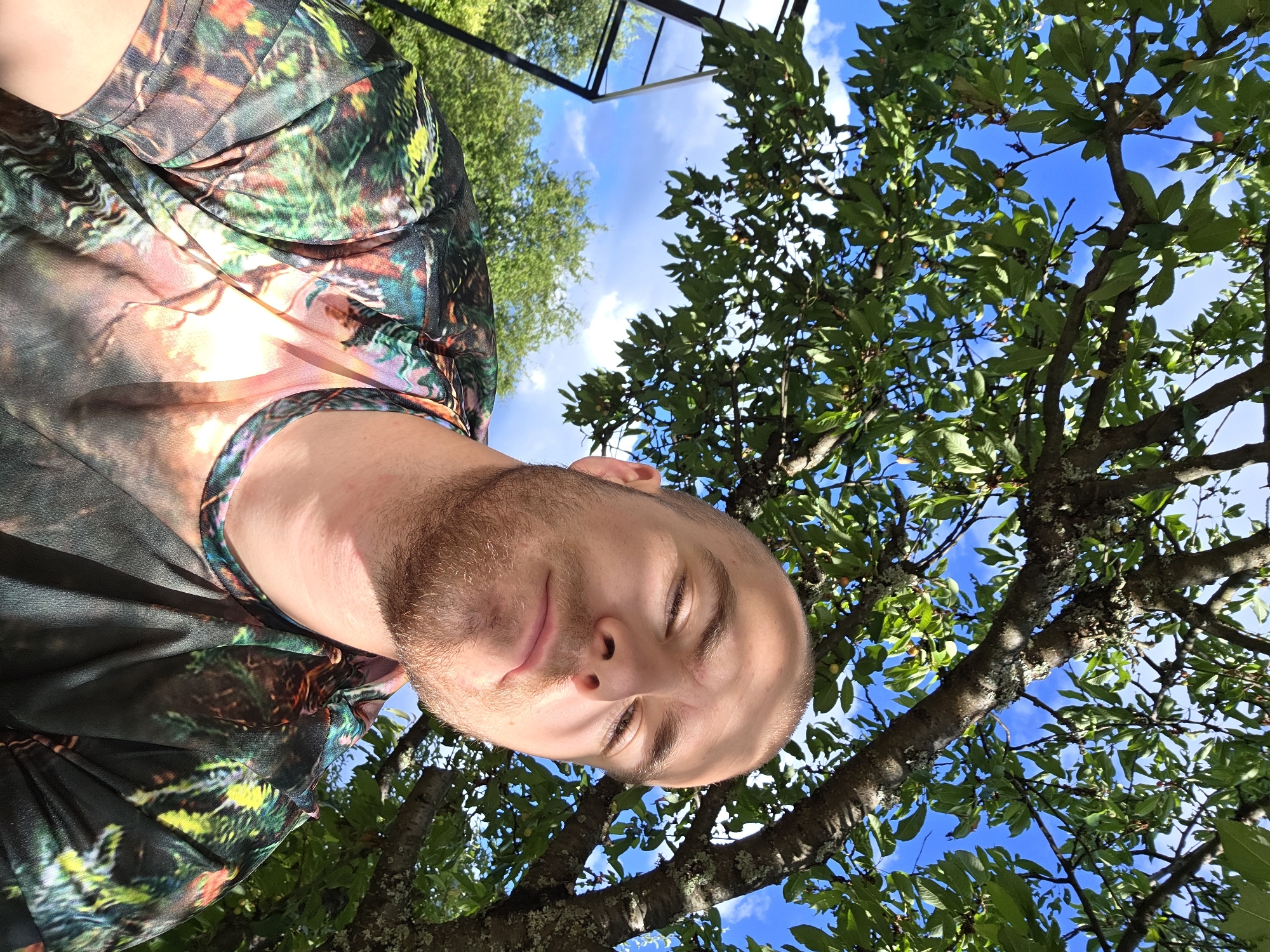 A low-angle, medium shot captures a fair-skinned man with a shaved head and stubble, looking up at the camera. He is wearing a black t-shirt with a colorful, abstract pattern of greens, yellows, and reds, which appears to be a digitally printed design. The man is positioned outdoors, with a large tree branch, laden with green leaves and some small, light-colored fruit, extending across the top of the frame. The background consists of a bright blue sky with scattered white clouds and more green foliage from other trees. A black metal structure, possibly part of a fence or a frame, is visible in the upper left corner. The scene is illuminated by bright sunlight, casting shadows and highlights on the man's face and clothing. The setting is likely a garden or park in Gorna Dikanya, Bulgaria, given the presence of mature trees and vegetation.