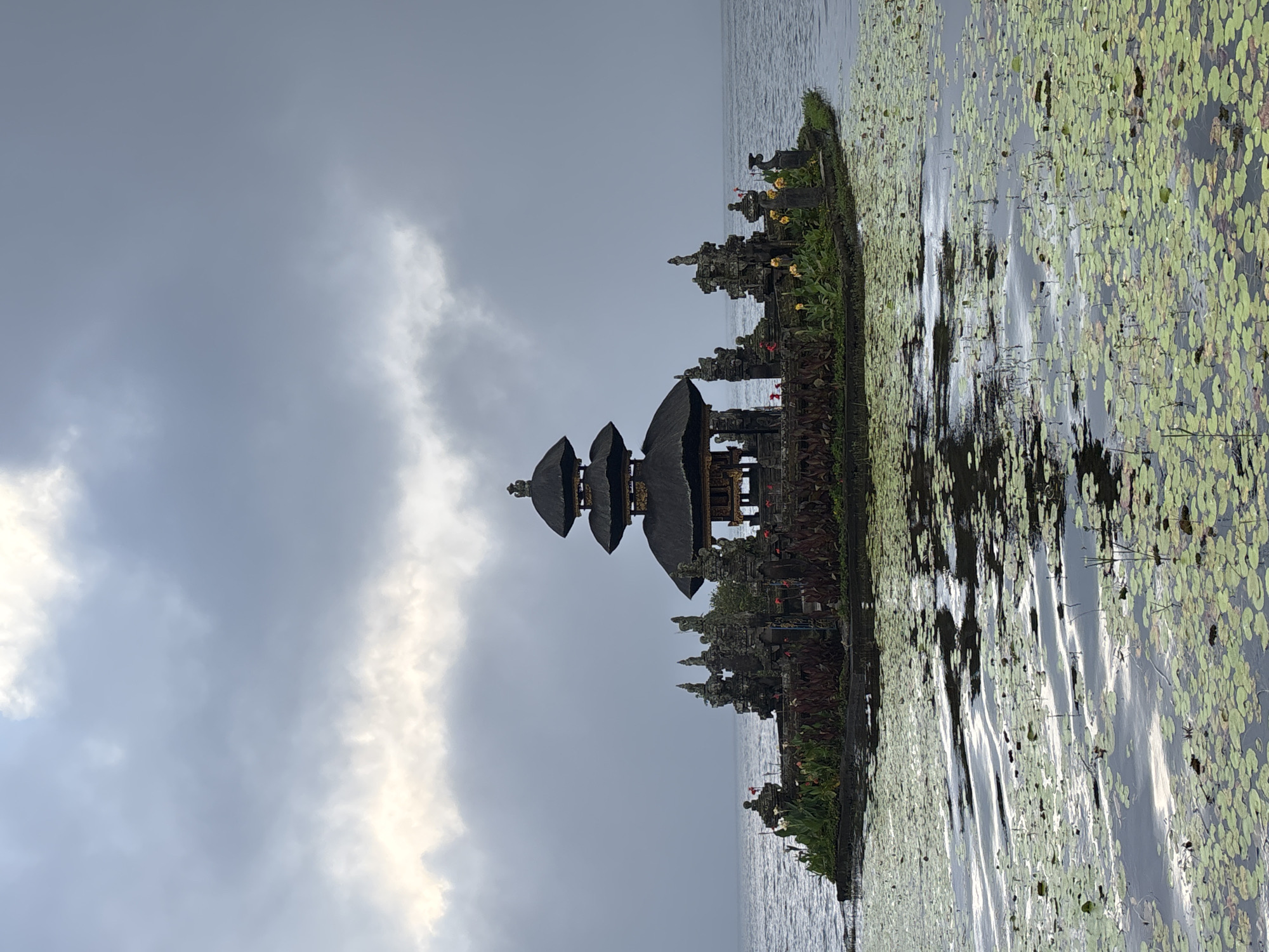 The image depicts Pura Ulun Danu Beratan, a major Hindu Shaivite water temple in Bali, Indonesia, located on Lake Bratan in the Bedugul area of Baturiti. The temple's tiered meru (pagodas) are visible against a backdrop of overcast sky and lake water. Lily pads and aquatic vegetation cover a significant portion of the lake's surface in the foreground. The temple complex appears to be situated on a small island within the lake. No people are visible.
