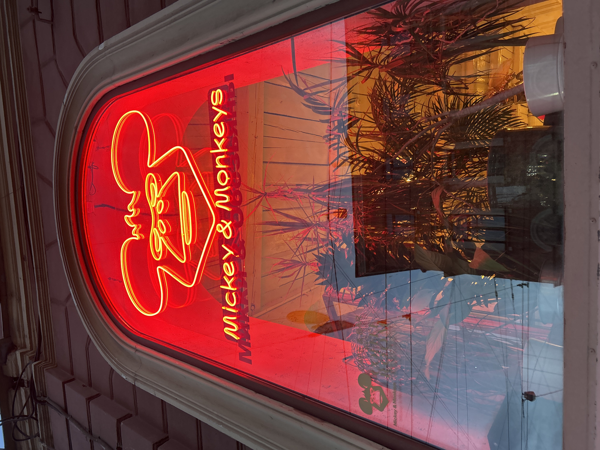 An outdoor, eye-level, medium shot captures a neon sign that reads "Mickey & Monkeys" in yellow lettering above an illuminated monkey graphic in bright red neon. The sign is mounted within a large arched window. The window reflects interior plants and lighting. The architectural detail surrounding the window suggests an older building.