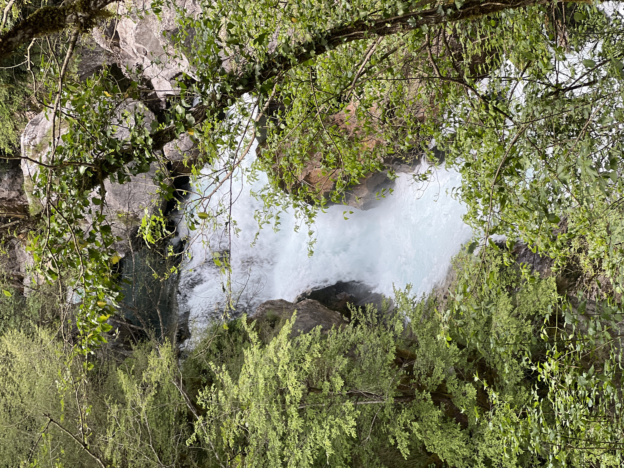 The image captures a close-up view of a waterfall framed by lush greenery in Lazba, Montenegro. The cascading water is white and foamy, contrasting against the dark rocks and surrounding verdant trees. The image is oriented vertically, providing a natural perspective of the scene. The vegetation in the foreground consists of branches and leaves, creating a natural frame around the waterfall.