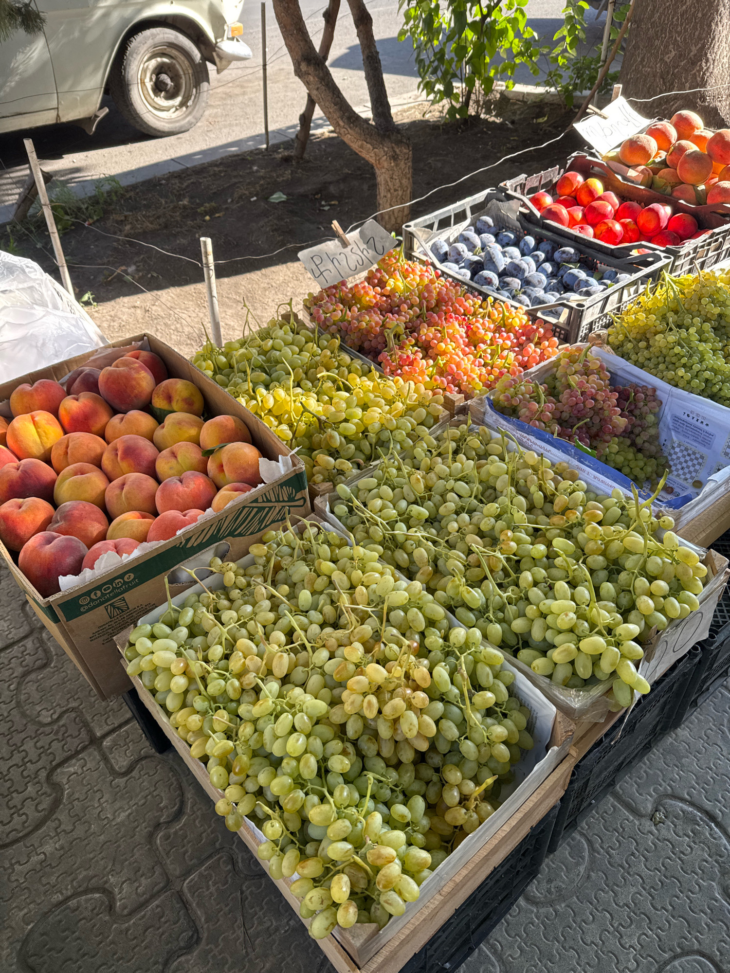 The image captures a vibrant outdoor fruit market scene, likely in the city of Yerevan, Armenia, given the Armenian inscriptions on the signs and packaging. The foreground is dominated by several crates of fresh fruit. On the left, a large cardboard box overflows with ripe peaches, their colors ranging from deep orange to red and yellow. Adjacent to this, a wooden crate is filled with clusters of green grapes, some appearing slightly yellowed. Further back, another crate holds more green grapes, and to its right, a larger crate contains both pink and green grapes, suggesting a mix of varieties.
In the middle ground, a plastic crate is packed with dark purple plums, their smooth skin reflecting the sunlight. Next to the plums, a crate is filled with a mix of red and pink grapes, with some yellow hues visible. To the far right, another crate holds what appear to be ripe peaches or nectarines, again in shades of orange and red.
Several signs with handwritten inscriptions are visible. One sign, near the red and pink grapes, has Armenian script. Another, attached to a wooden stake, also displays Armenian writing and appears to indicate a price.
The background reveals elements of a city street. A portion of a light-colored car is visible on the left, with its wheel and fender in view. The ground is paved with textured grey tiles. Trees with sparse foliage cast shadows on the ground, indicating a sunny day. The overall impression is one of a lively market offering a fresh and abundant selection of produce.