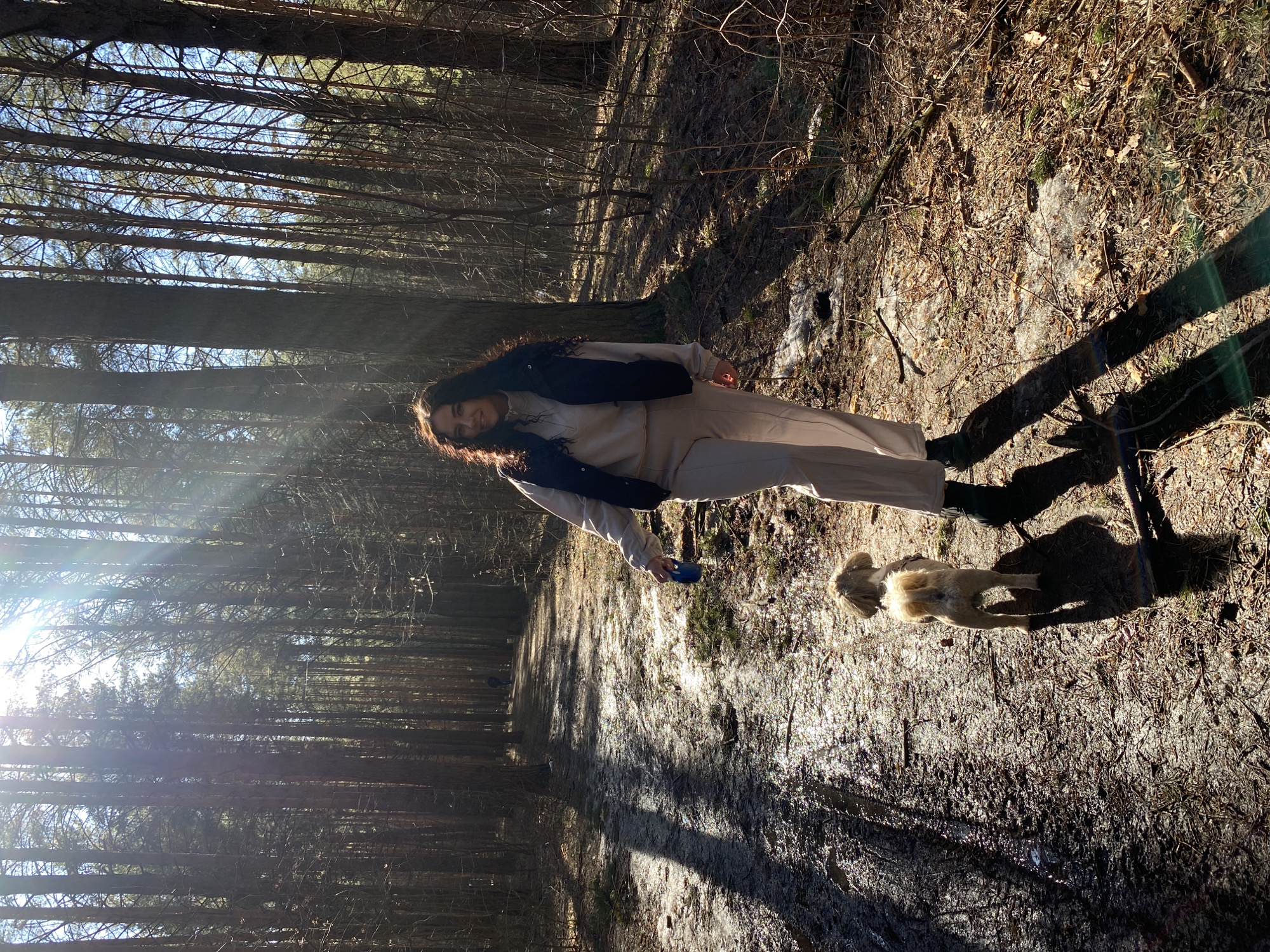 The image shows a woman walking a small, light-colored dog on a path in a forest. The path is covered in icy patches and debris. The forest is dense with tall, thin trees and a clear blue sky is visible above. The woman is wearing light-colored clothing and a dark vest. The lighting is bright, with strong sunlight filtering through the trees, creating shadows. The location is identified as Chaikovsky, Russia based on the query.