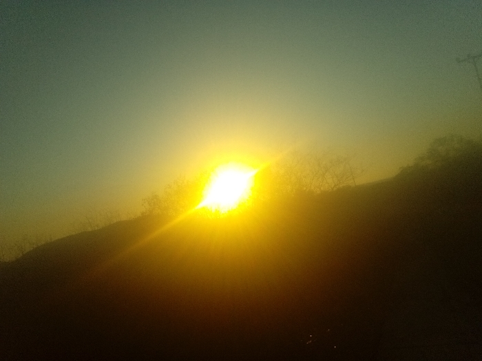 The image depicts an outdoor landscape scene, likely in the vicinity of Juan Griego, Venezuela, during either sunrise or sunset. A brilliant, intense yellow-orange sun, emanating distinct rays, is positioned in the lower-left to mid-left quadrant of the frame. The sky transitions from a light teal-blue at the top to a vibrant golden hue surrounding the sun, indicative of atmospheric conditions at dawn or dusk. A prominent dark, silhouetted landmass, consistent with a hill or elevated terrain, occupies the lower and mid-right portions of the image, obscuring the horizon. Sparse, dark, possibly deciduous vegetation, appearing as small trees or bushes, is discernible along the crest and upper slopes of this silhouetted landmass, particularly to the right of the sun. A single dark, vertical utility pole or similar structural element is visible on the far right edge of the frame, extending upward from the landmass into the golden sky. No individuals, specific actions, or interactions are present. The environment appears natural, characterized by a bright light source and atmospheric haze.
