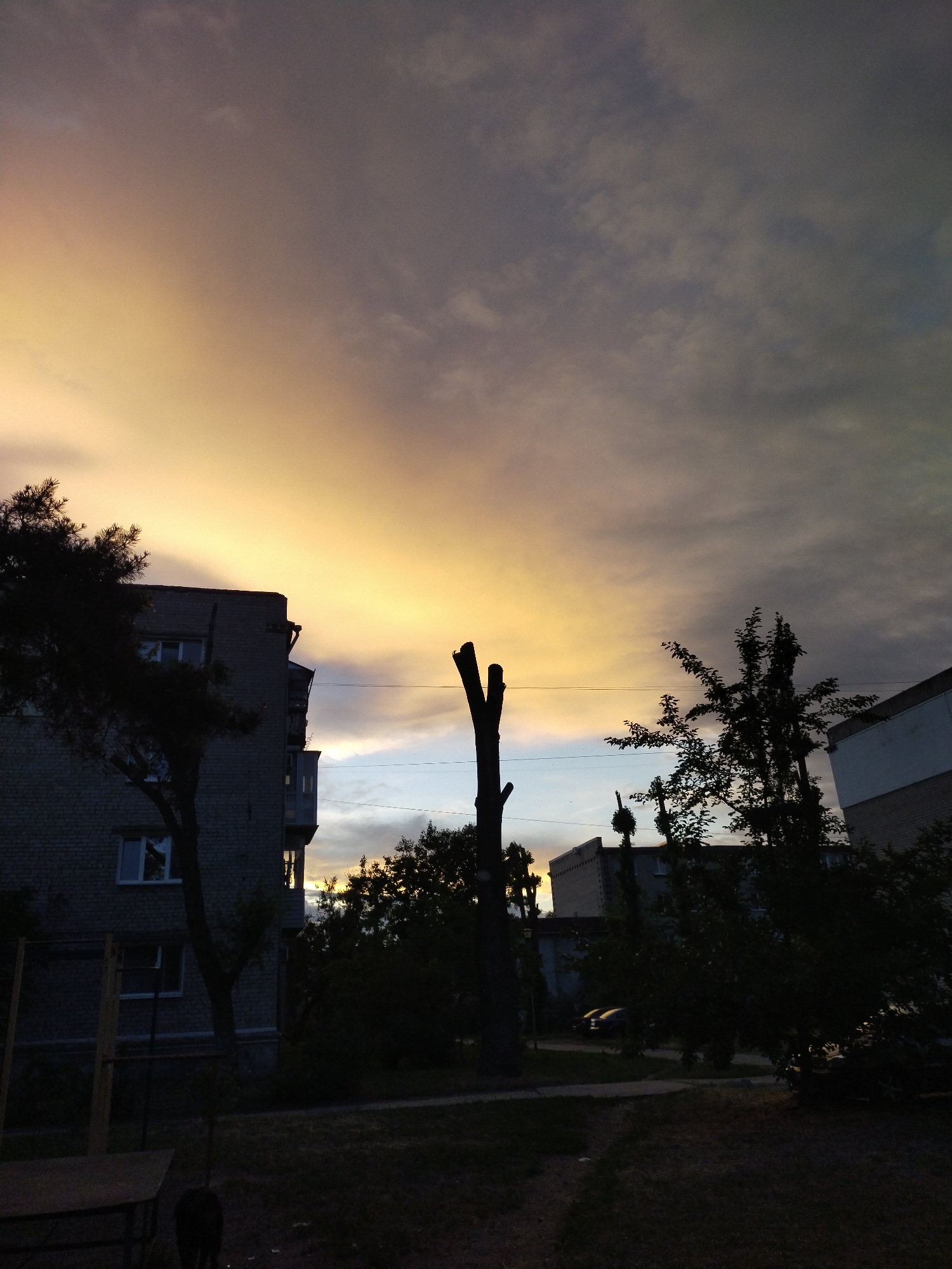 The image depicts a sunset scene in a city, likely Horishni Plavni, Ukraine. In the foreground, a dark, silhouetted tree trunk stands prominently in the center of the frame. To the left, the dark silhouette of a large evergreen tree partially obscures a grey brick apartment building. This building features multiple windows, some reflecting the sky. To the right, another apartment building with a white facade is visible. The ground is covered with grass and a paved walkway. In the midground, various trees and vegetation are silhouetted against the sky. The sky itself is a dramatic blend of colors, with a bright yellow-orange glow near the horizon transitioning to darker grey and purple clouds above. Power lines are visible crisscrossing the sky. The overall impression is a somber yet beautiful urban evening.