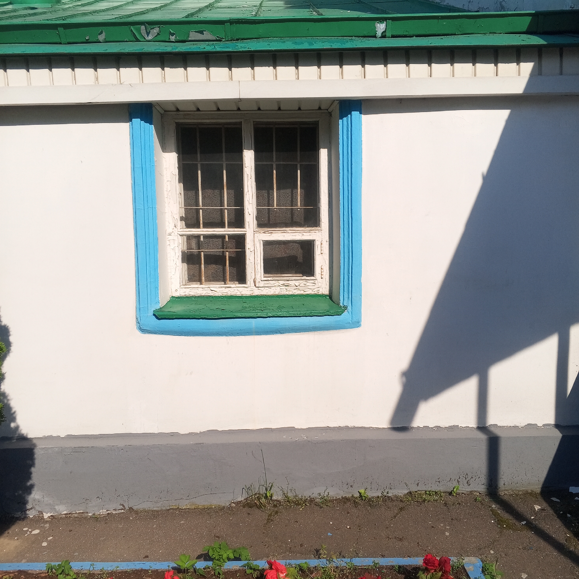 The image shows a weathered white wall of a building with a green corrugated metal roof. A single window with a white frame and metal bars is visible, surrounded by a bright blue trim and a green sill. The wall itself shows some peeling paint and a gray foundation. A shadow, likely cast by an adjacent structure, falls across the wall. In front of the building, there is a strip of dark soil with some sparse greenery and red flowers, bordered by a blue element, possibly a planter or edging. The scene appears to be in an outdoor setting in Zhilino-1, Russia. There are no people or discernible actions depicted.