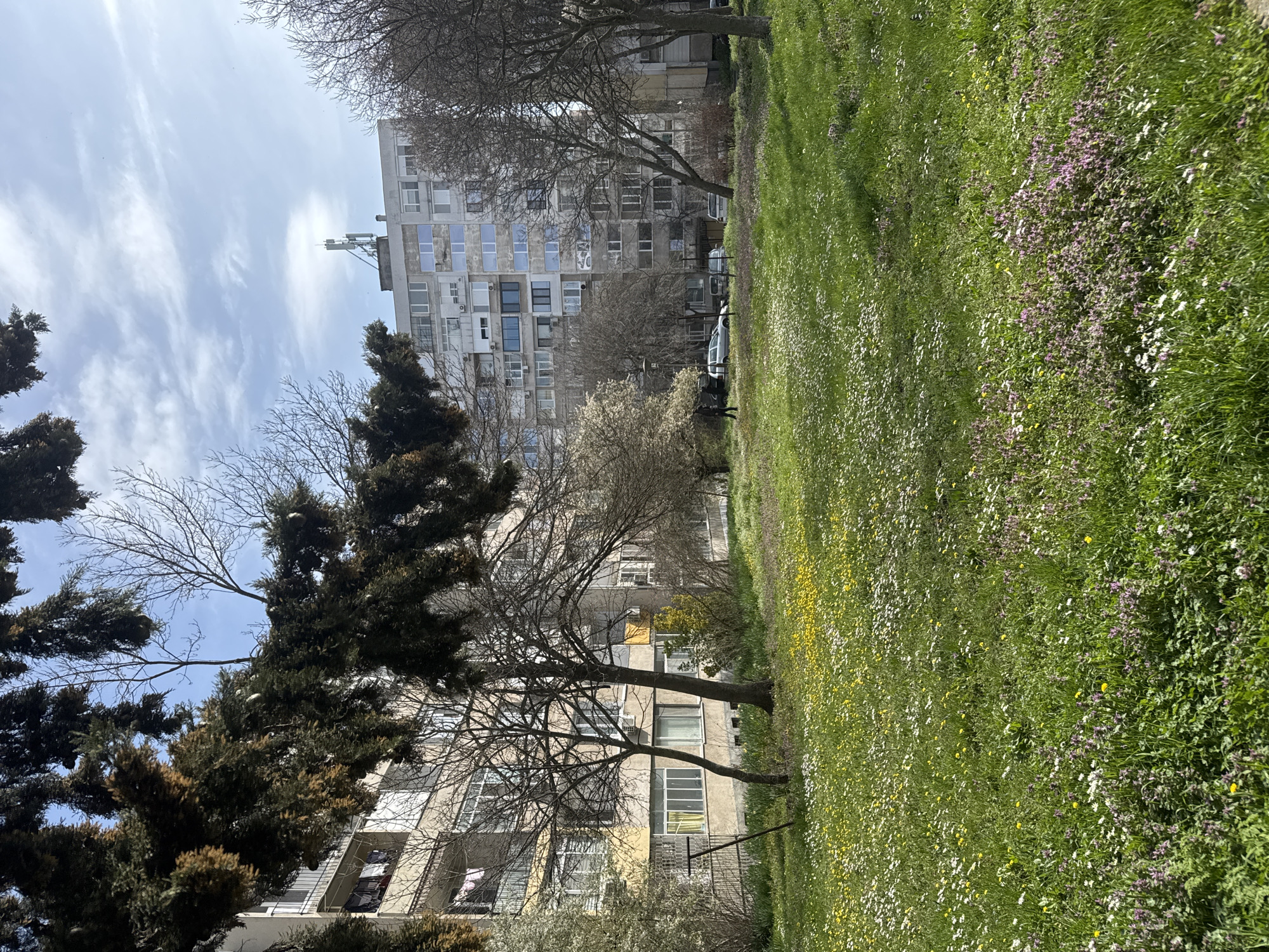 The image depicts a residential area in Burgas, Bulgaria. Two large apartment buildings dominate the background, constructed in a utilitarian, Soviet-era style with multiple identical windows and balconies. A lawn of grass mixed with wildflowers is in the foreground. Trees of varying types partially obscure the buildings. A white car is parked between the buildings. The sky is partly cloudy.