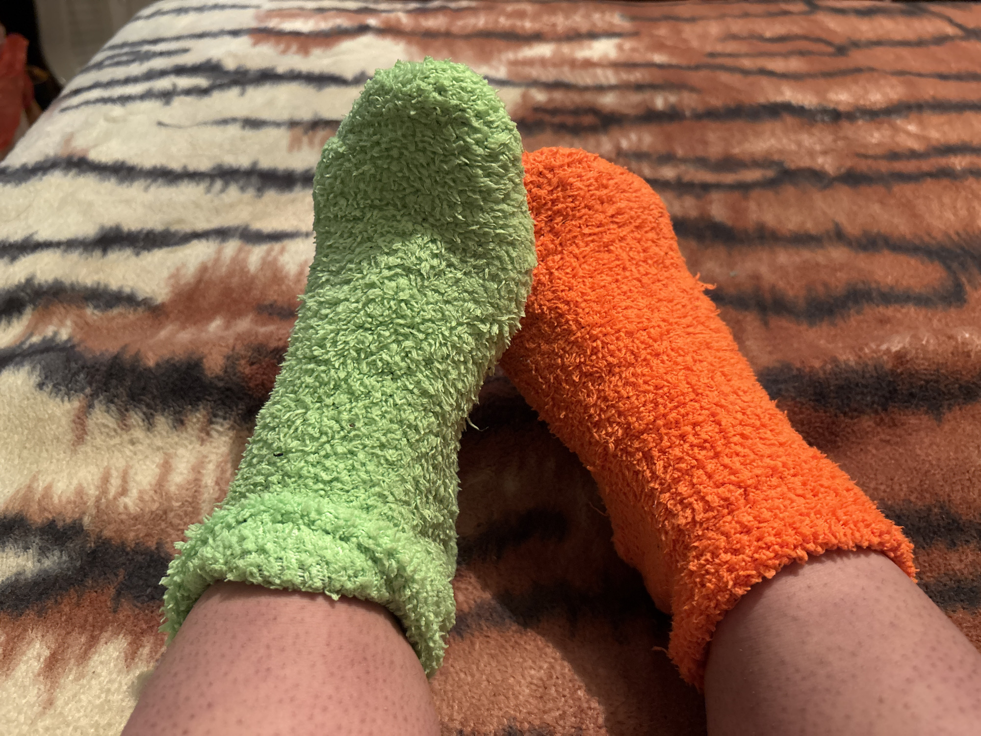 The scene depicts a close-up, downward-angled view of two lower human legs, shod in mismatched fuzzy socks, resting on a patterned blanket in a residence within the city of Dobrovnitsa, Bulgaria. The left foot wears a light green fuzzy sock, and the right foot wears a bright orange fuzzy sock. Both socks extend up the ankle, with the skin of the lower calves and ankles visible below the cuffs, displaying noticeable follicular prominence. The feet are positioned parallel, slightly angled towards each other, with the toes directed upwards. The underlying surface is a plush blanket featuring a prominent striped pattern in shades of cream, brown, and dark grey/black, indicative of an animal print design. The lighting is uniform, casting minimal shadows. No other subjects or objects are discernible in the immediate foreground or background beyond the depicted legs, socks, and blanket.