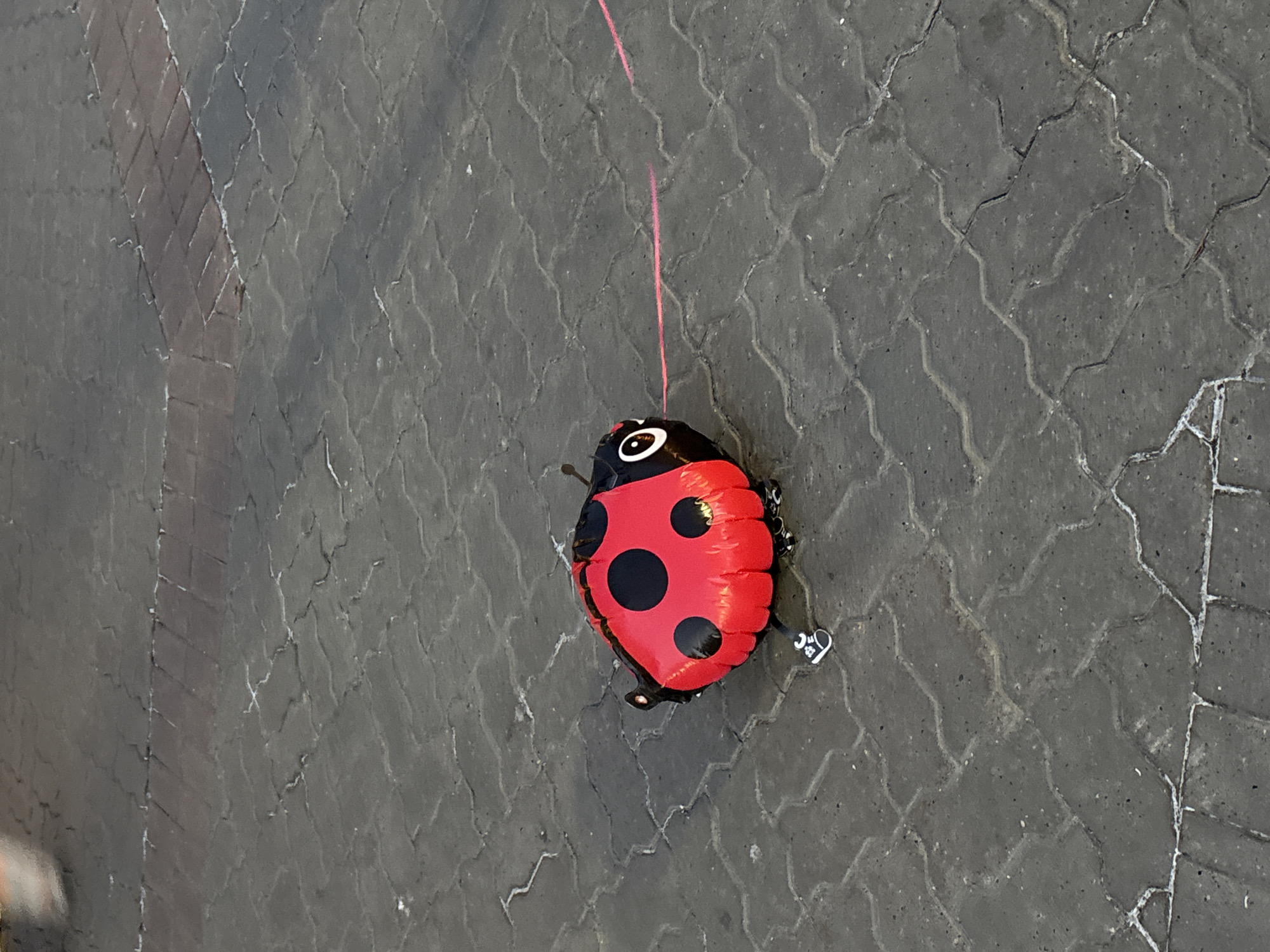 A red and black ladybug-shaped balloon lies on a paved surface, its pink string extending to the right. The balloon is deflated. The paved surface is made of interlocking dark grey bricks, with some reddish-brown bricks forming a curved pattern in the upper portion of the image. Some white residue or markings are visible in the cracks between the bricks. The lighting suggests it is daytime. The scene is observed from a high angle, looking down on the balloon and the ground. The location is identified as Kazan, Russia.