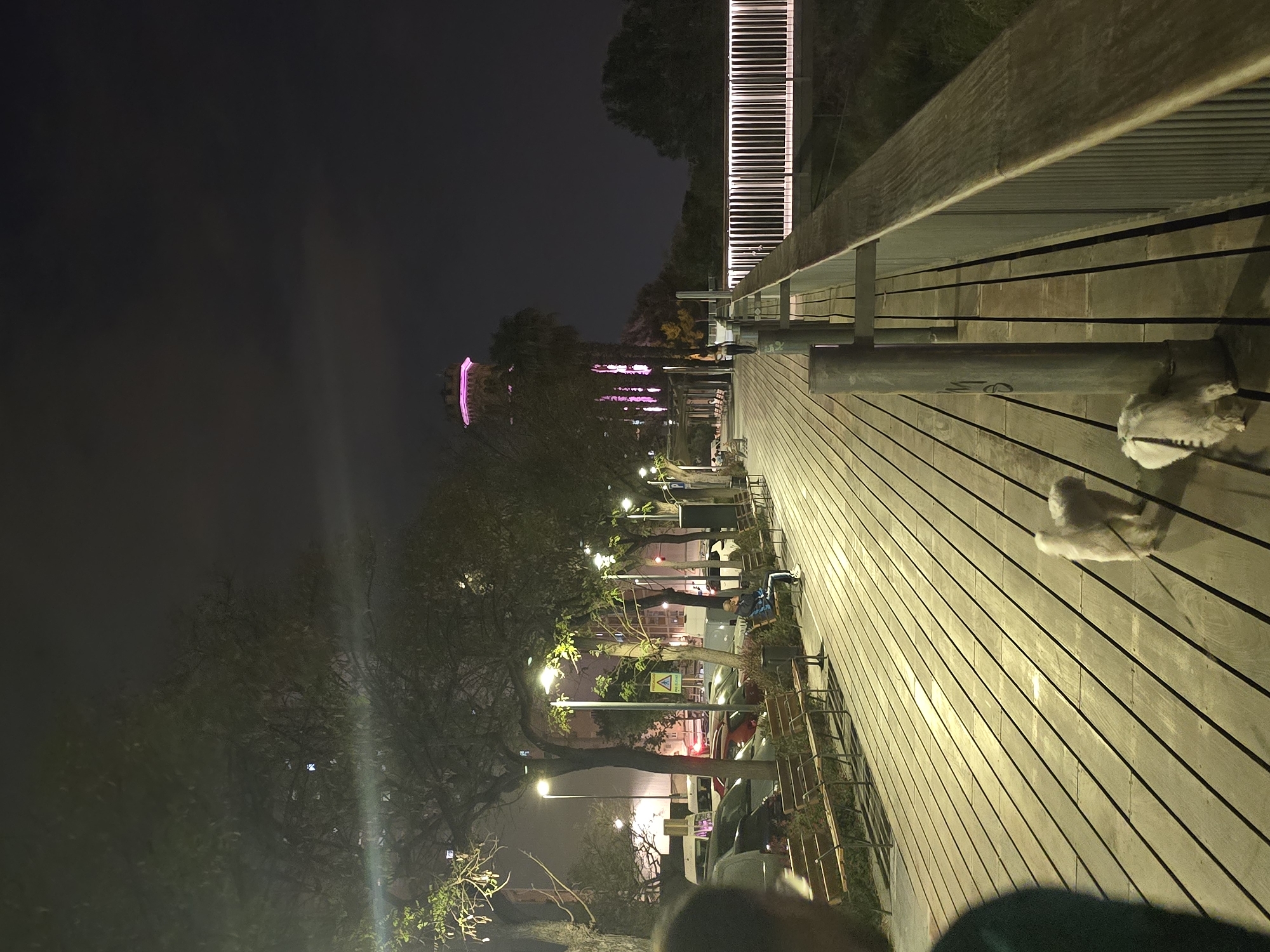 At night in Cornellà de Llobregat, Spain, a brightly lit wooden boardwalk stretches into the distance. Two white dogs stand on the boardwalk near a metal railing. Further along, a tower glows pink, and lights illuminate trees lining the path. In the distance, a building with many lit windows is visible. There are trees and street lights along the boardwalk, and metal bike racks are present. People are seen walking and sitting on benches along the path. The sky is dark and cloudy.
