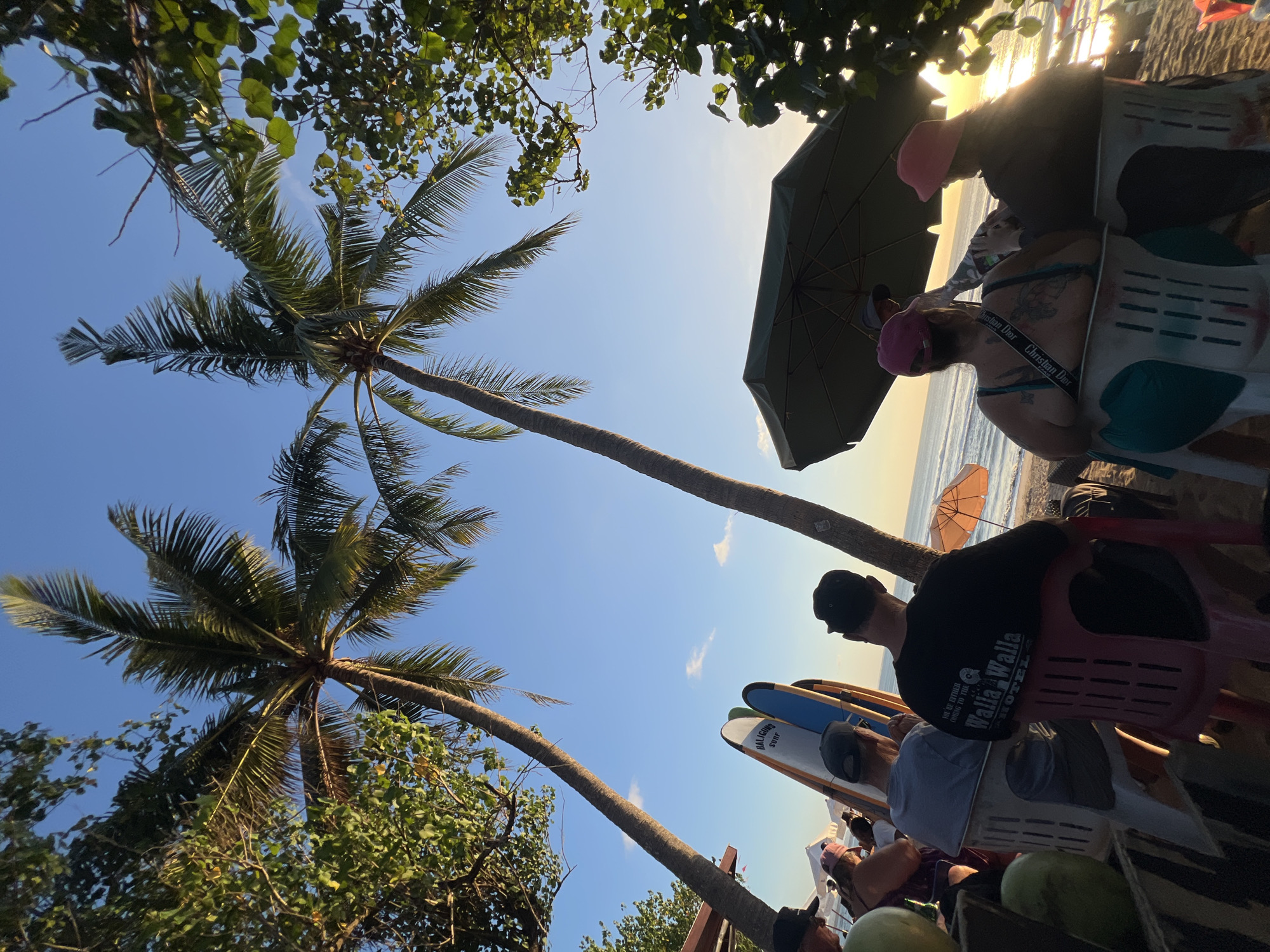The image depicts a group of people sitting on chairs on a sandy beach in Kuta, Indonesia, facing the ocean. Two tall palm trees frame the scene, with their fronds reaching towards a clear blue sky. In the foreground, surfboards are propped up, suggesting a surfing destination. Several individuals are visible, some with their backs to the camera, while others are partially obscured by foliage and an open umbrella. The warm glow of the setting sun is visible on the water, indicating it is late afternoon or early evening. The overall atmosphere appears relaxed and serene, with the natural beauty of the beach and ocean dominating the view.