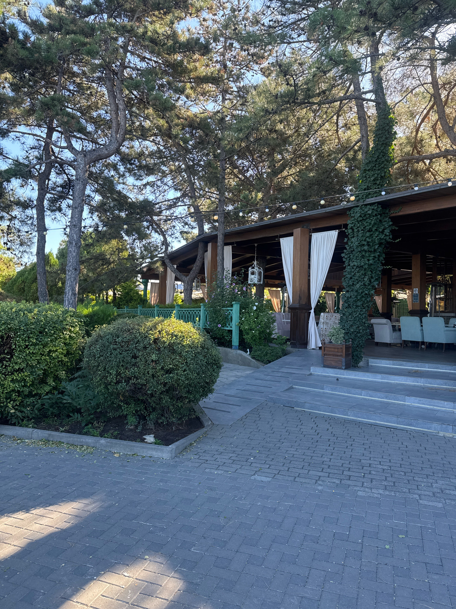 The image depicts an outdoor seating area of a restaurant or cafe, likely located in Anapa, Russia, given the presence of mature pine trees. The scene is bathed in natural daylight, casting long shadows across a paved walkway made of grey rectangular bricks arranged in a herringbone pattern. To the right, a set of grey stone steps leads up to a wooden-roofed structure, which appears to be an open-air dining space. This space is furnished with several tables and chairs, some of which are covered with white tablecloths. Light-colored curtains hang at the entrance, and string lights are visible along the edge of the roof. Lush green bushes and manicured shrubs are situated in the foreground, with a decorative green metal fence separating the garden area from the pathway. A single, tall tree covered in ivy stands prominently near the entrance to the covered seating area. The overall ambiance is tranquil and inviting, suggesting a pleasant outdoor dining experience.