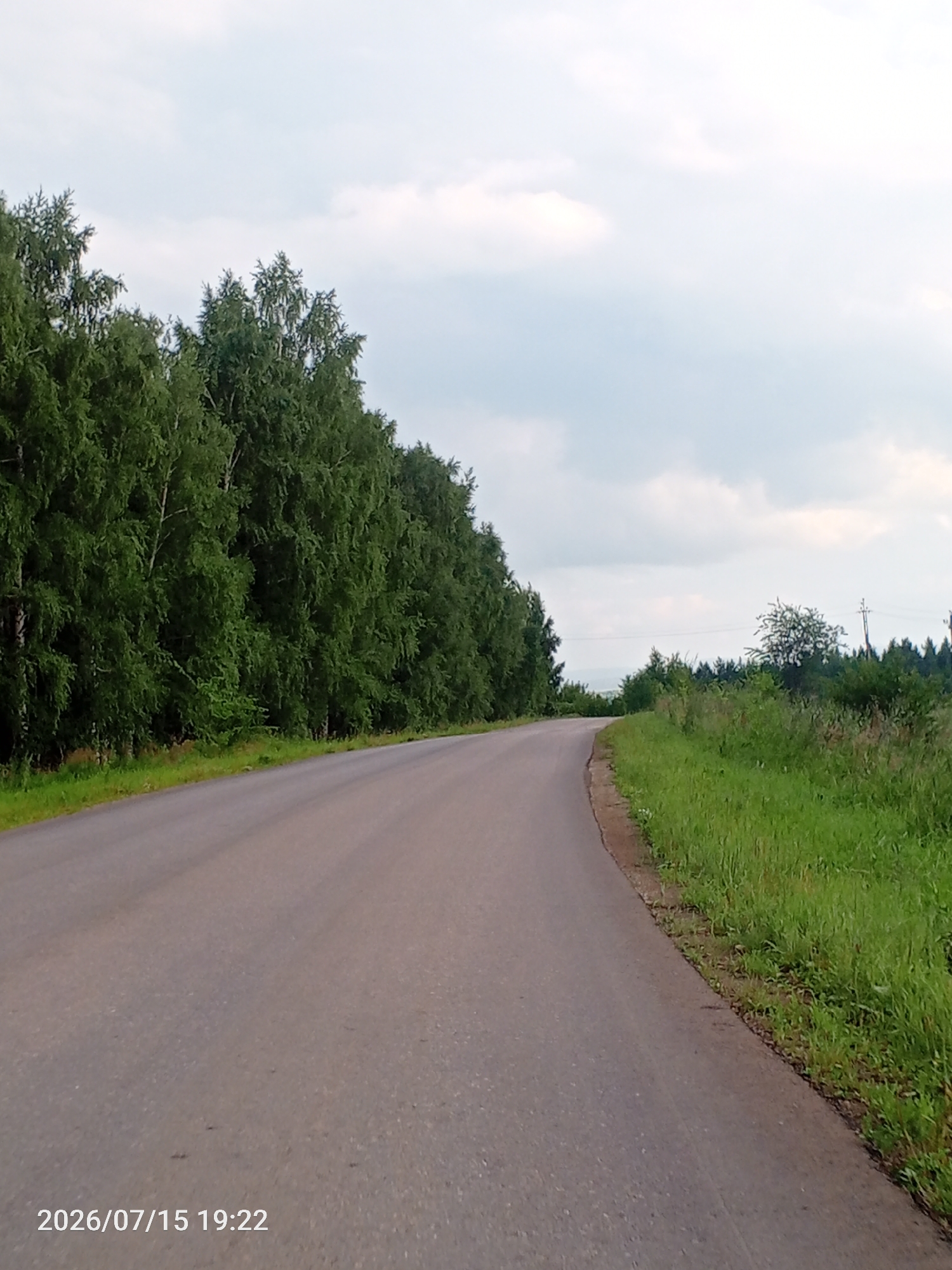 A paved road curves to the right, bordered by a dense line of green trees on the left and a grassy embankment on the right. The sky is overcast with pale clouds. In the distance, more trees and a utility pole are visible. The timestamp "2026/07/15 19:22" is superimposed on the lower left corner of the image.
