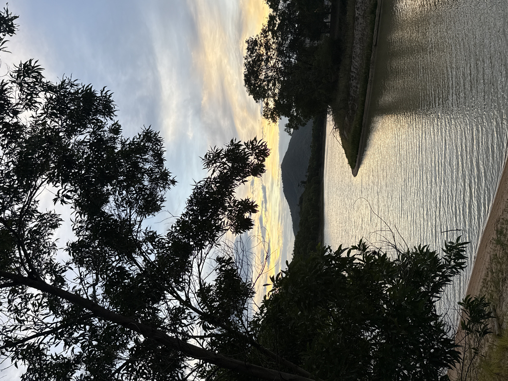 The image depicts a serene natural landscape, likely situated near a body of water. Silhouetted trees dominate the foreground, with their branches and leaves framing the scene. Beyond the trees, a calm body of water stretches out, reflecting the soft light of a dusky sky. The sky itself is a canvas of muted blues and grays, with streaks of yellow and orange indicating the presence of the setting sun. In the distance, rolling hills covered in vegetation create a gentle backdrop. The overall impression is one of tranquility and natural beauty, suggestive of a peaceful evening in a picturesque location. Based on the visual cues, it's plausible this scene could be found in a natural area within Ko Samui District, Thailand, known for its lush scenery and coastal beauty.