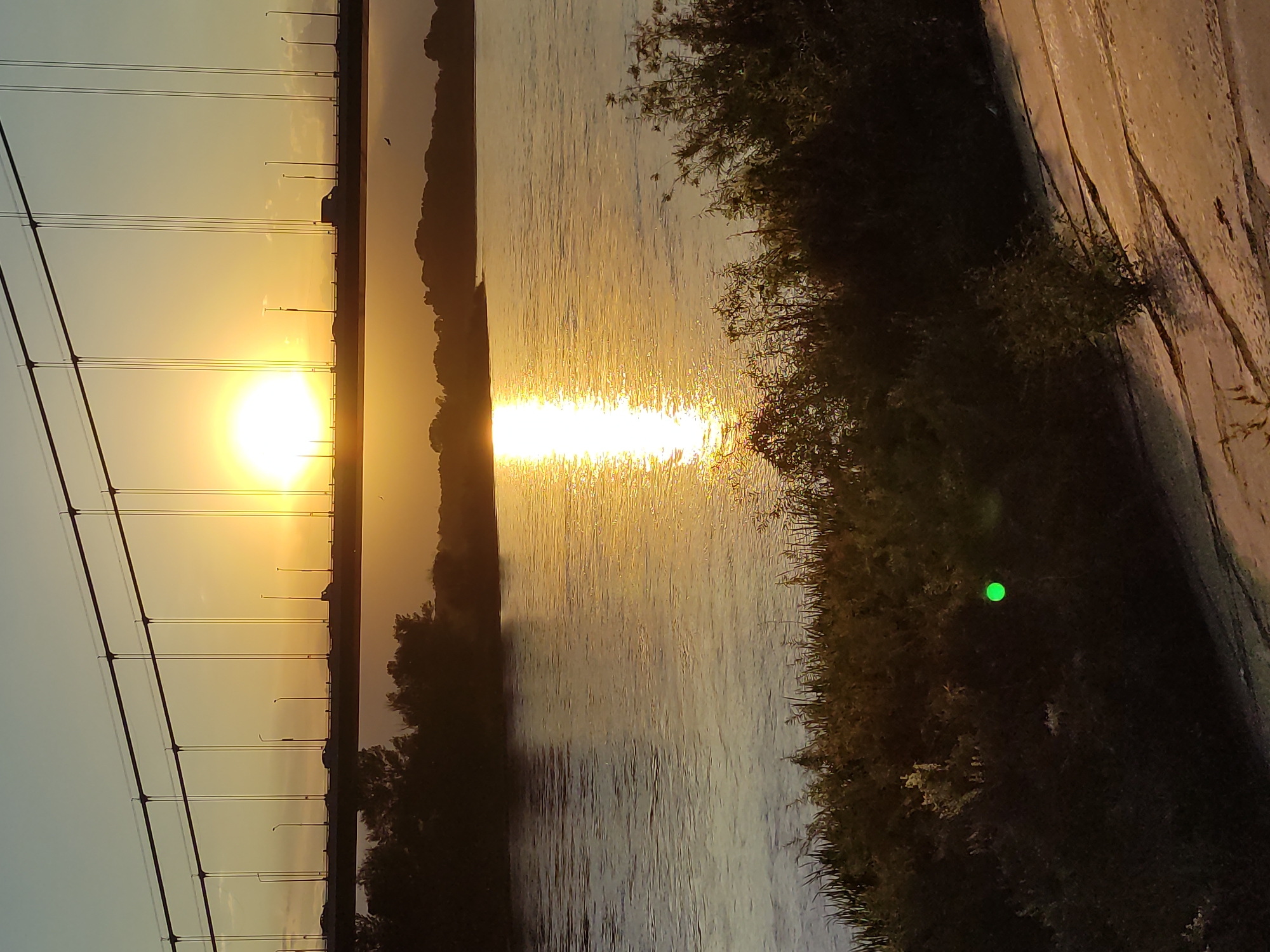 The image depicts a sunset over the Irtysh River in Semey, Kazakhstan. A suspension bridge spans the river in the upper portion of the frame, with vehicles visible on the bridge. The setting sun casts a bright reflection on the water. The foreground shows vegetation along the riverbank, and a small green light is visible in the lower left quadrant of the image. The overall scene is one of a natural landscape at dusk, with human infrastructure present.