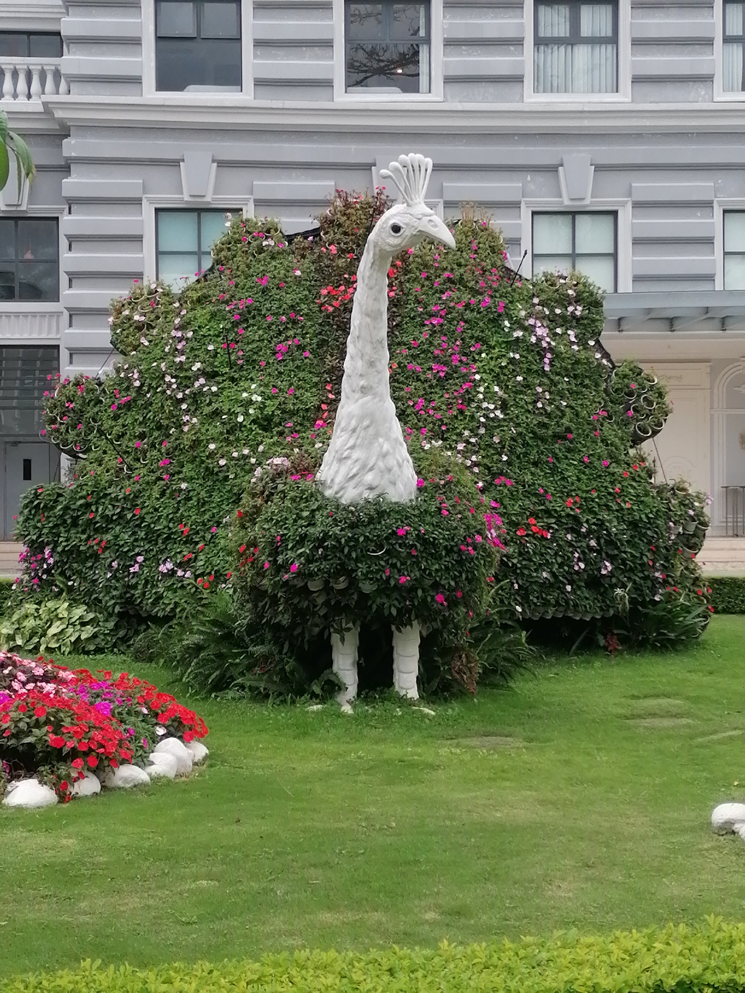 A white peacock sculpture is the central subject of this image, positioned in front of a building. The sculpture is covered in green foliage and numerous small pink and white flowers, with red flowers also visible. The peacock sculpture is white and has a distinctive crest on its head and a long neck. Its body is covered in dense green leaves, resembling a living creature adorned with flowers.
The background features a modern building with gray siding and multiple windows. The building has several stories, with horizontal decorative elements. In the foreground, a well-maintained green lawn surrounds the peacock sculpture. To the left of the sculpture, there is a bed of vibrant red and pink flowers. The overall scene suggests a public garden or an area with elaborate landscaping. The image quality is moderate, with a slight blur present. There are no people visible in the image.