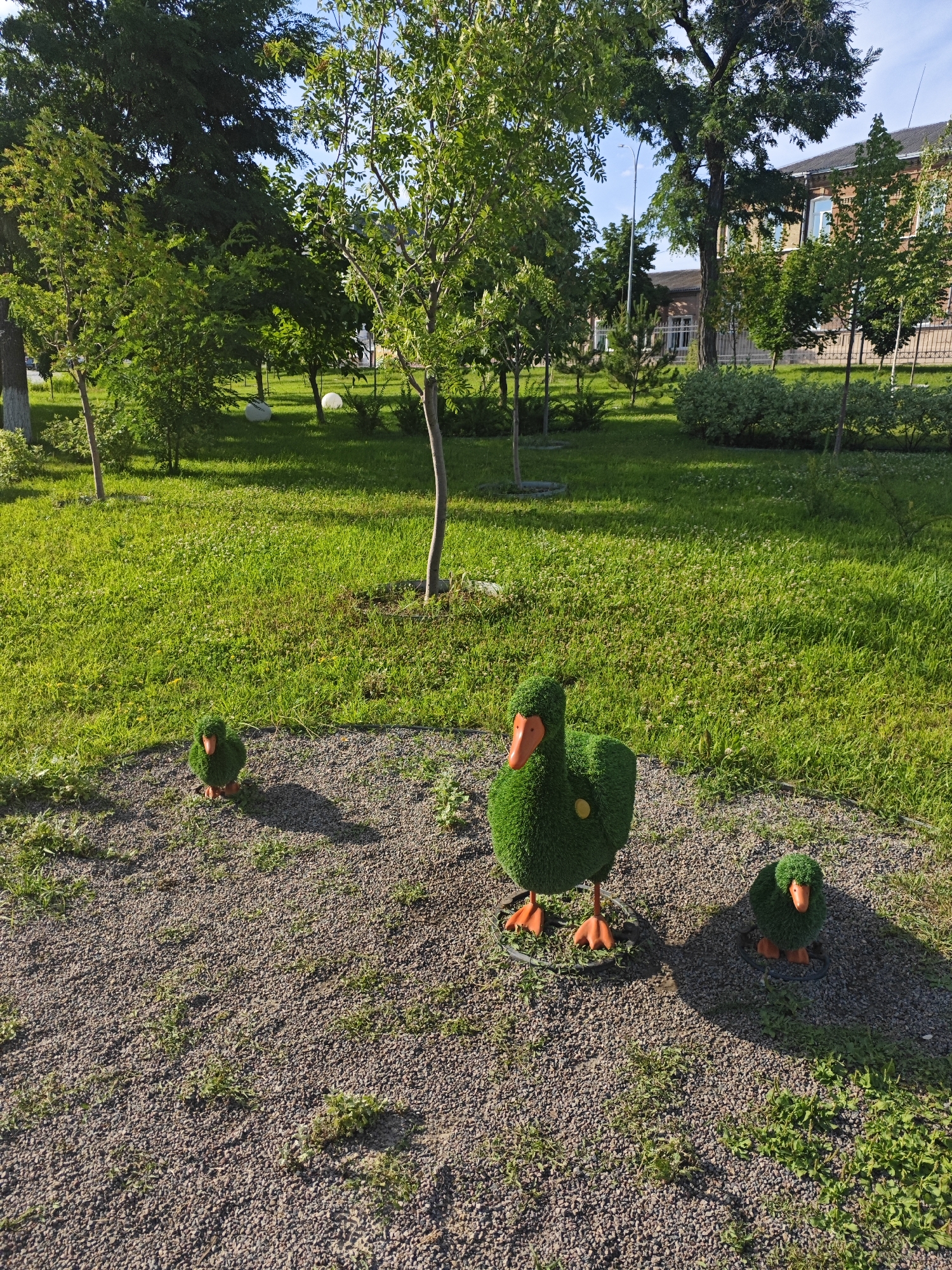 The image shows a park-like setting with lush green grass and trees. In the foreground, there are three decorative topiary figures shaped like ducks. The largest duck is in the center, with two smaller ducks positioned to its left and right. The ducks are made of green artificial turf and have orange beaks and feet. They are placed on a gravel path. In the background, there are more trees, a building with windows, and a fence. The sun is shining, casting shadows on the ground, suggesting it is daytime. The scene is peaceful and appears to be a well-maintained public space. No text is visible in the image.